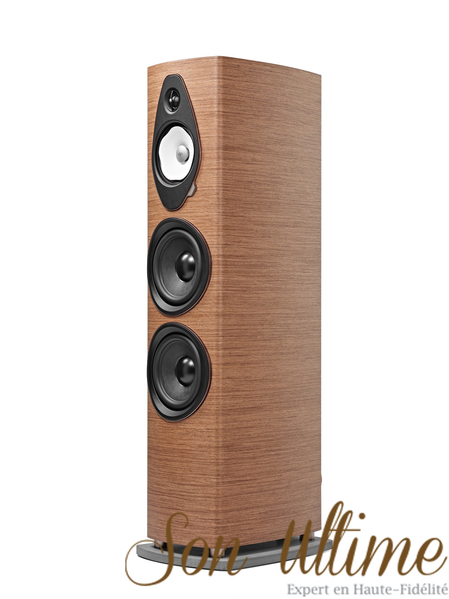 Sonetto VIII G2
