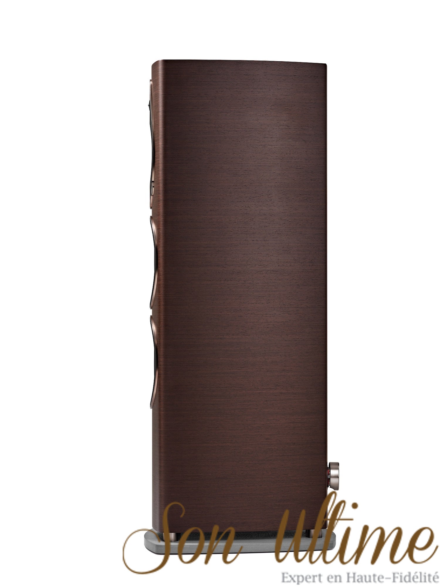 Sonetto VIII G2