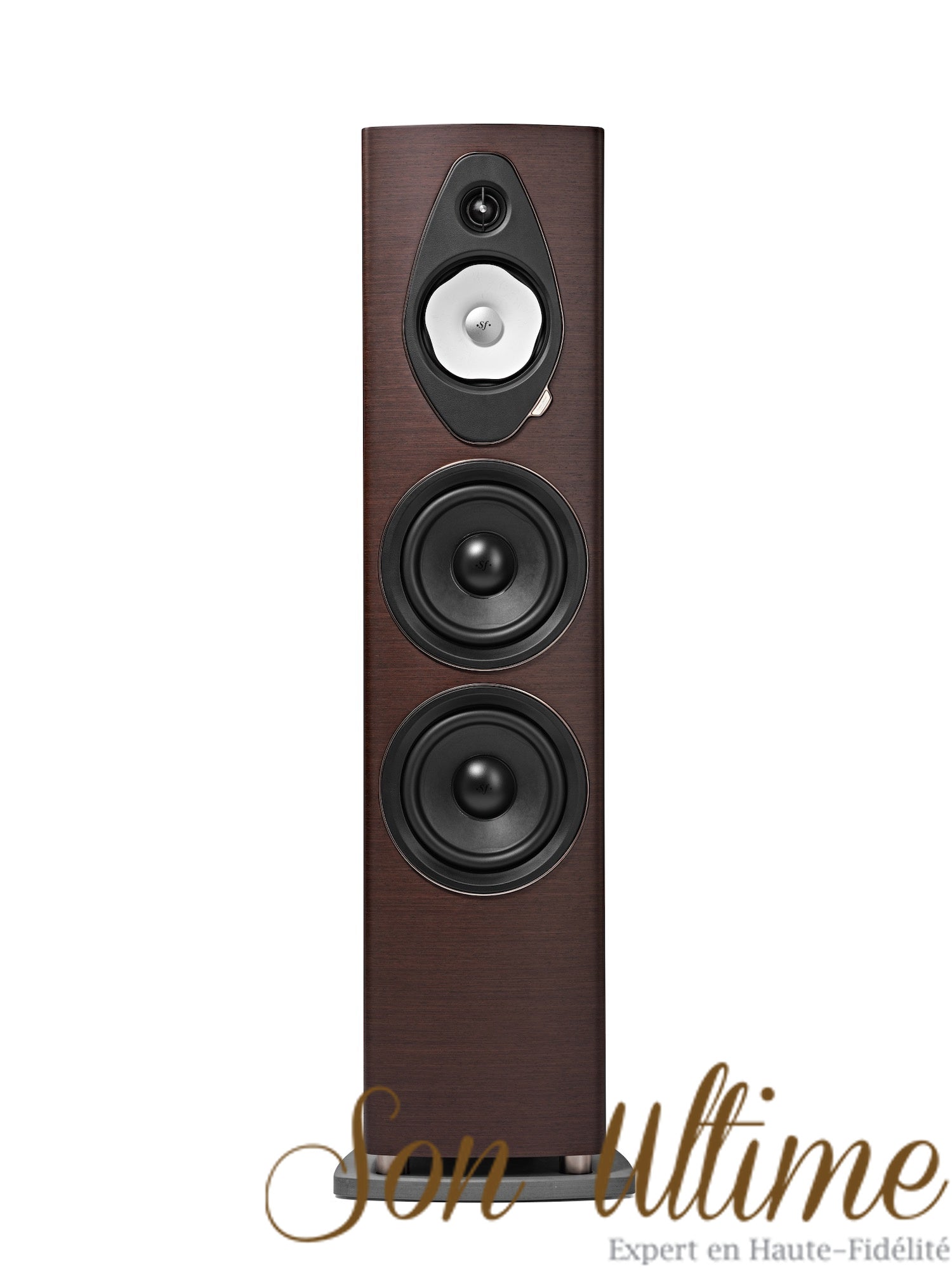 Sonetto VIII G2