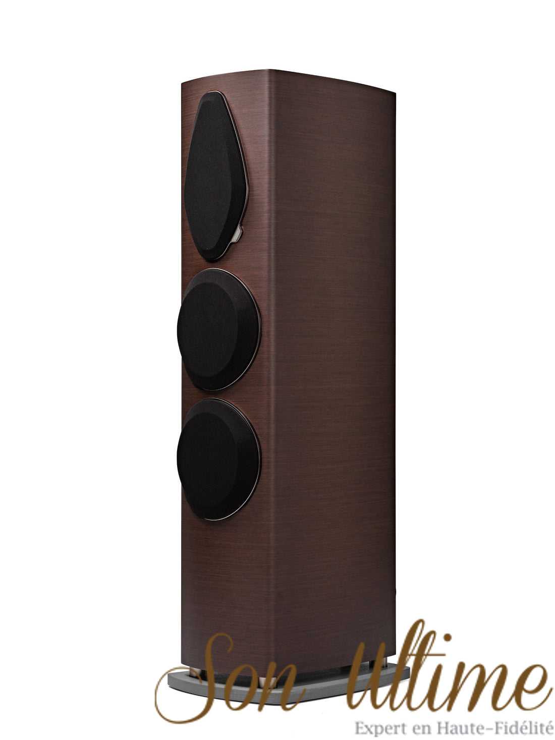 Sonetto VIII G2