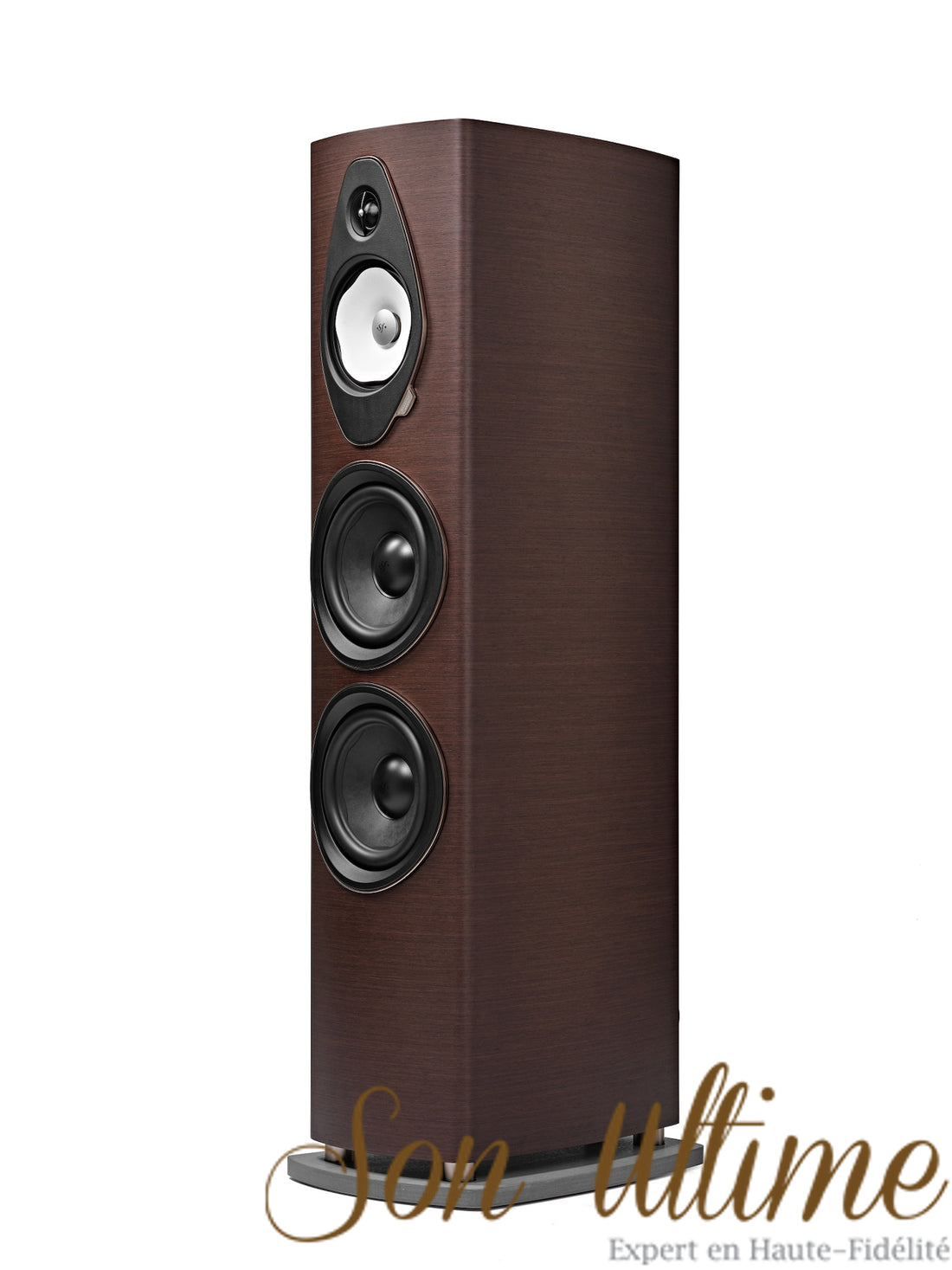 Sonetto VIII G2