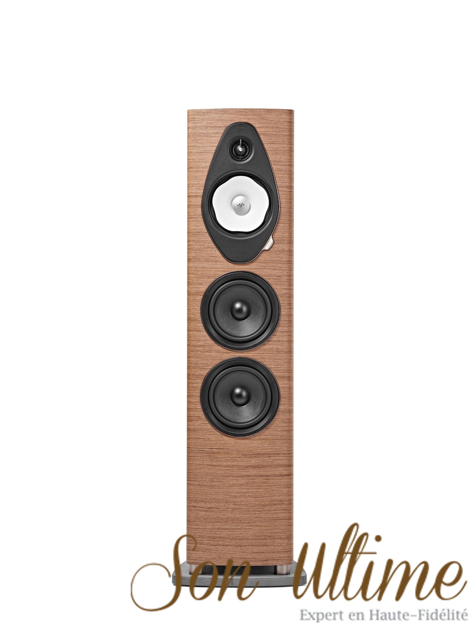 Sonetto V G2