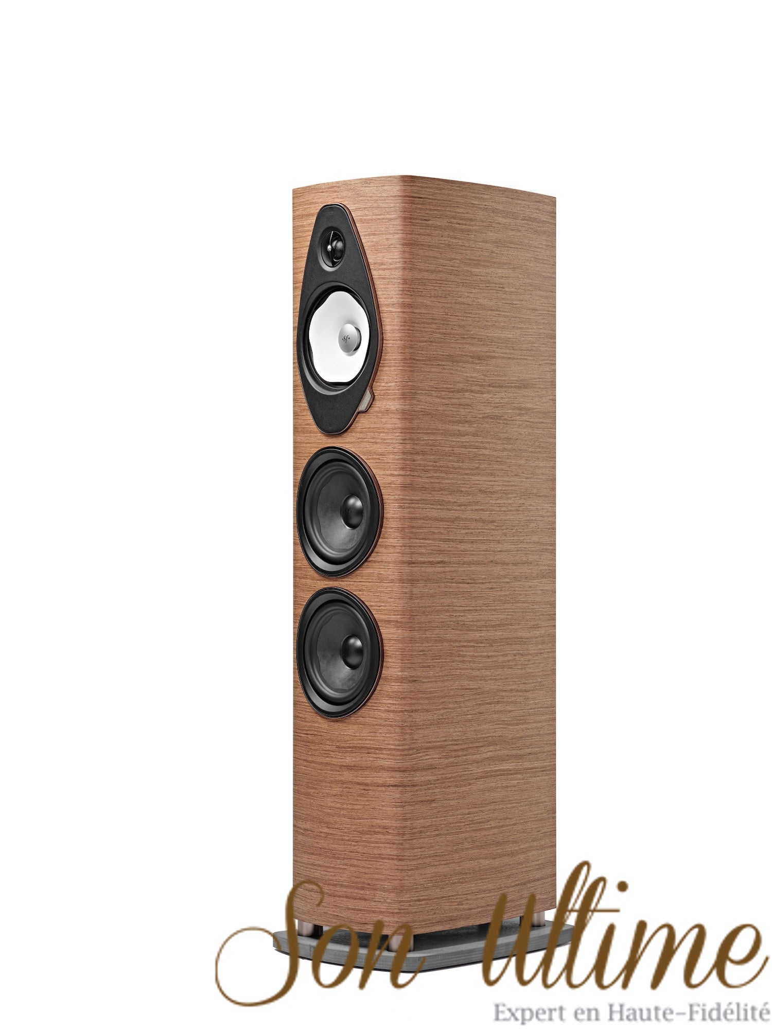 Sonetto V G2