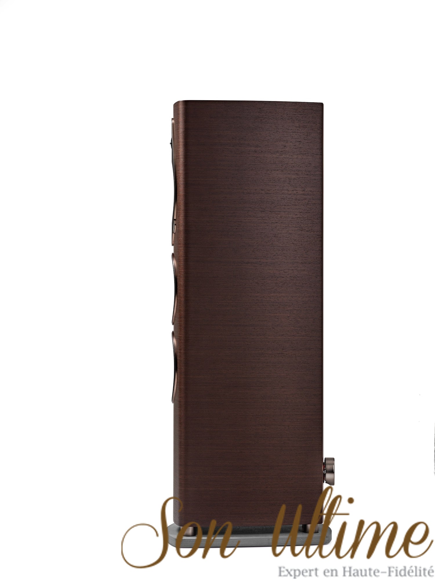 Sonetto V G2