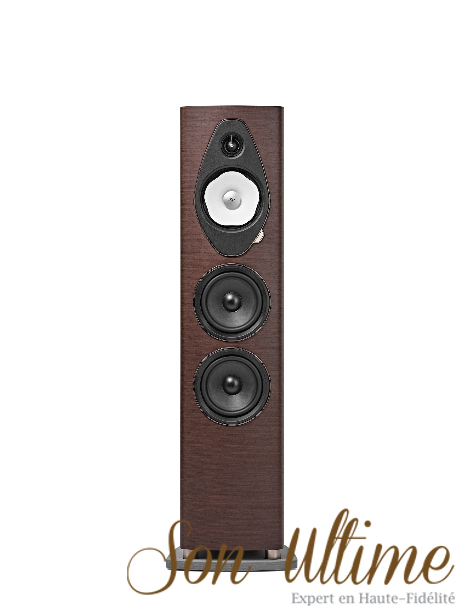 Sonetto V G2