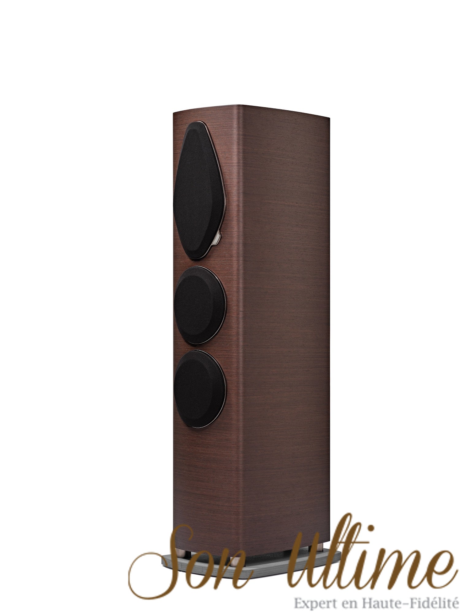 Sonetto V G2
