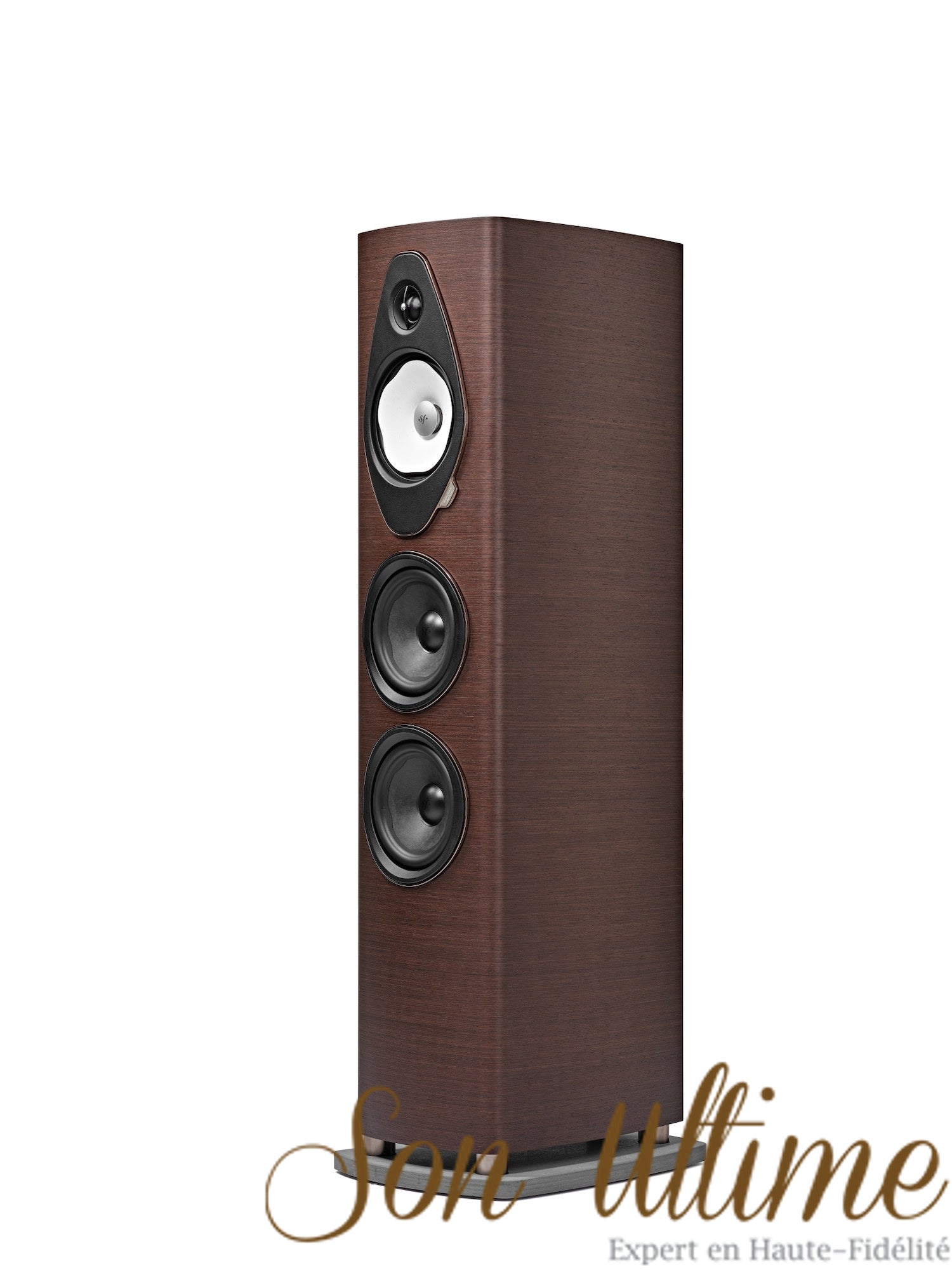 Sonetto V G2