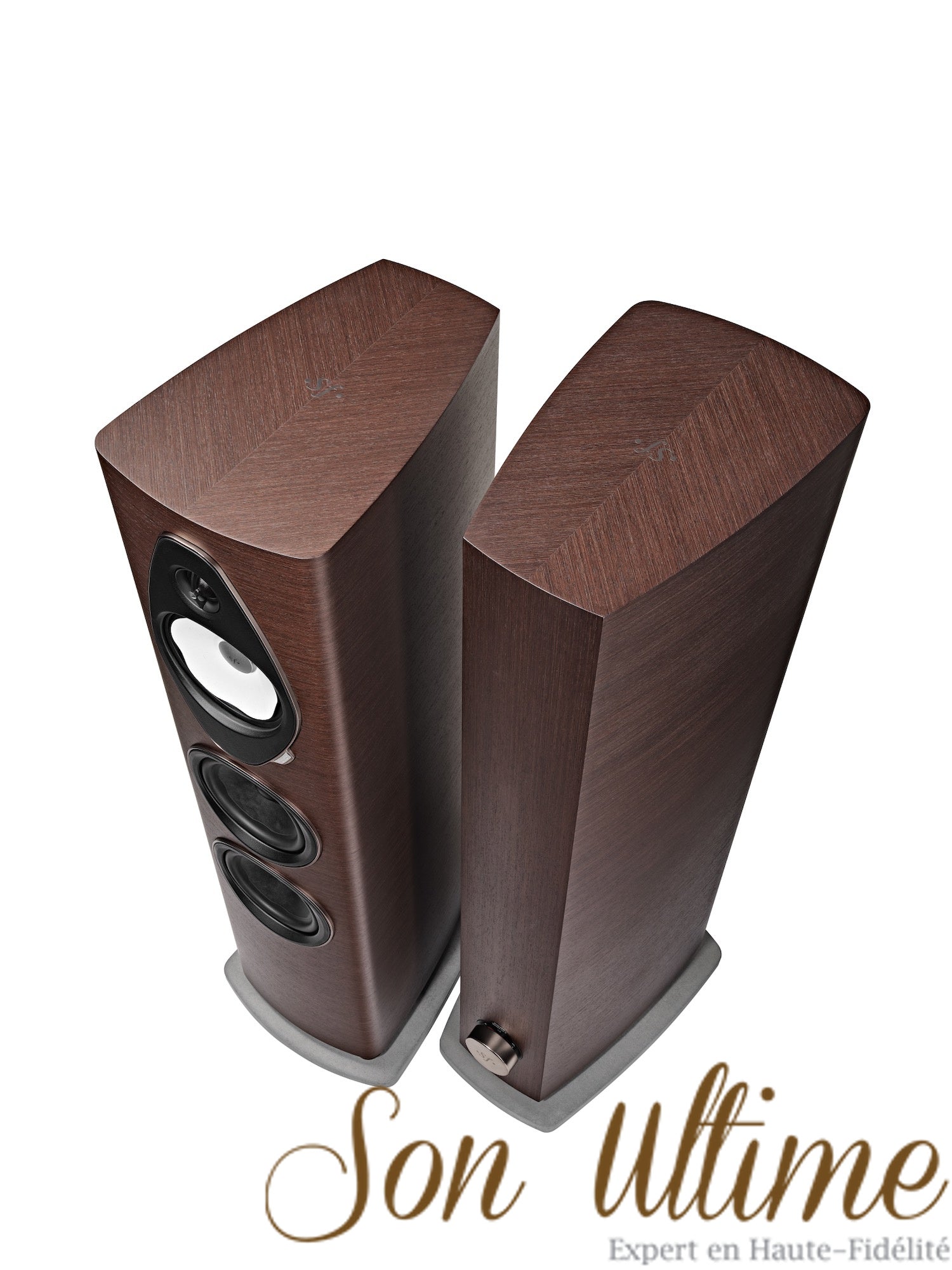 Sonetto V G2