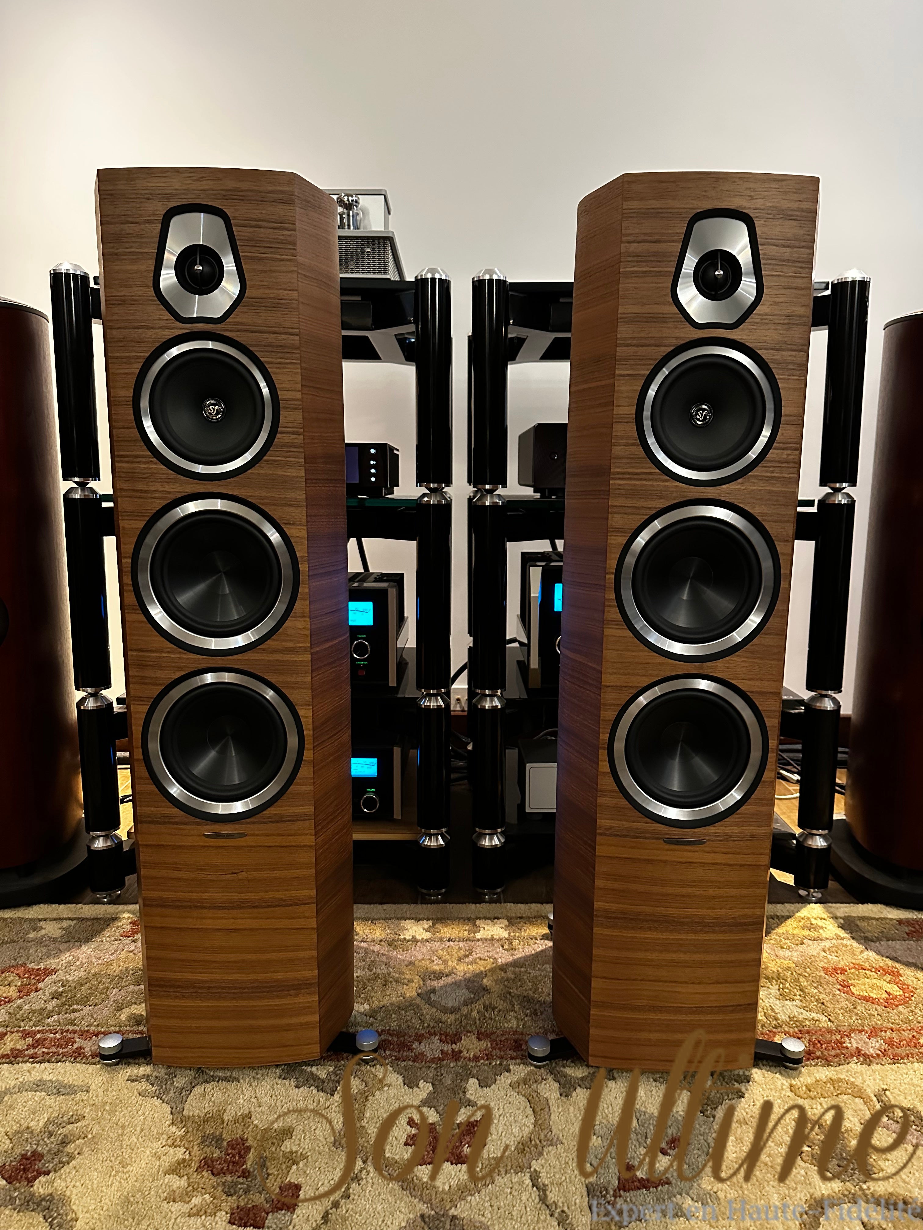 Sonetto V Walnut (Used Sold)