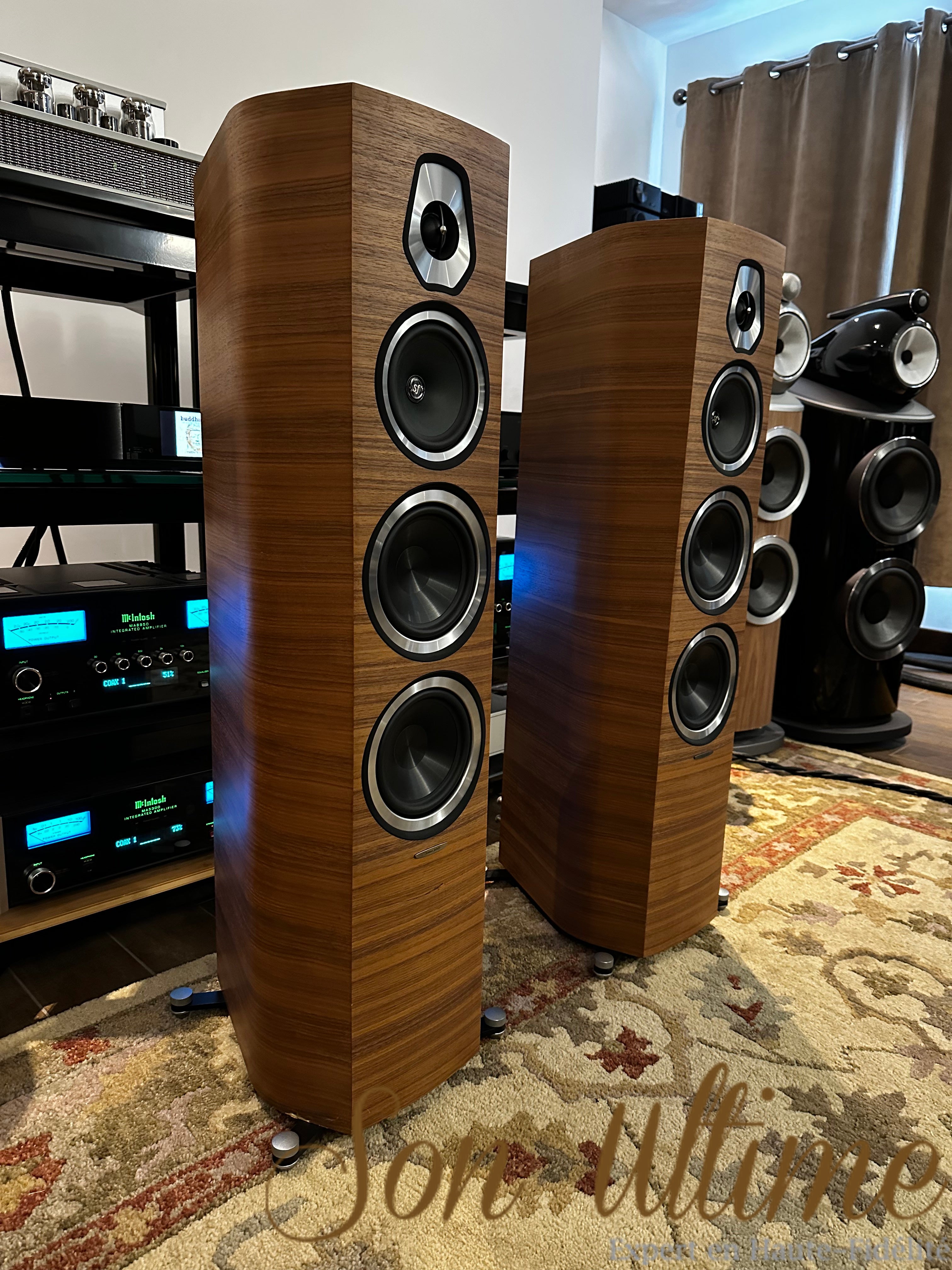 Sonetto V Walnut (Used Sold)