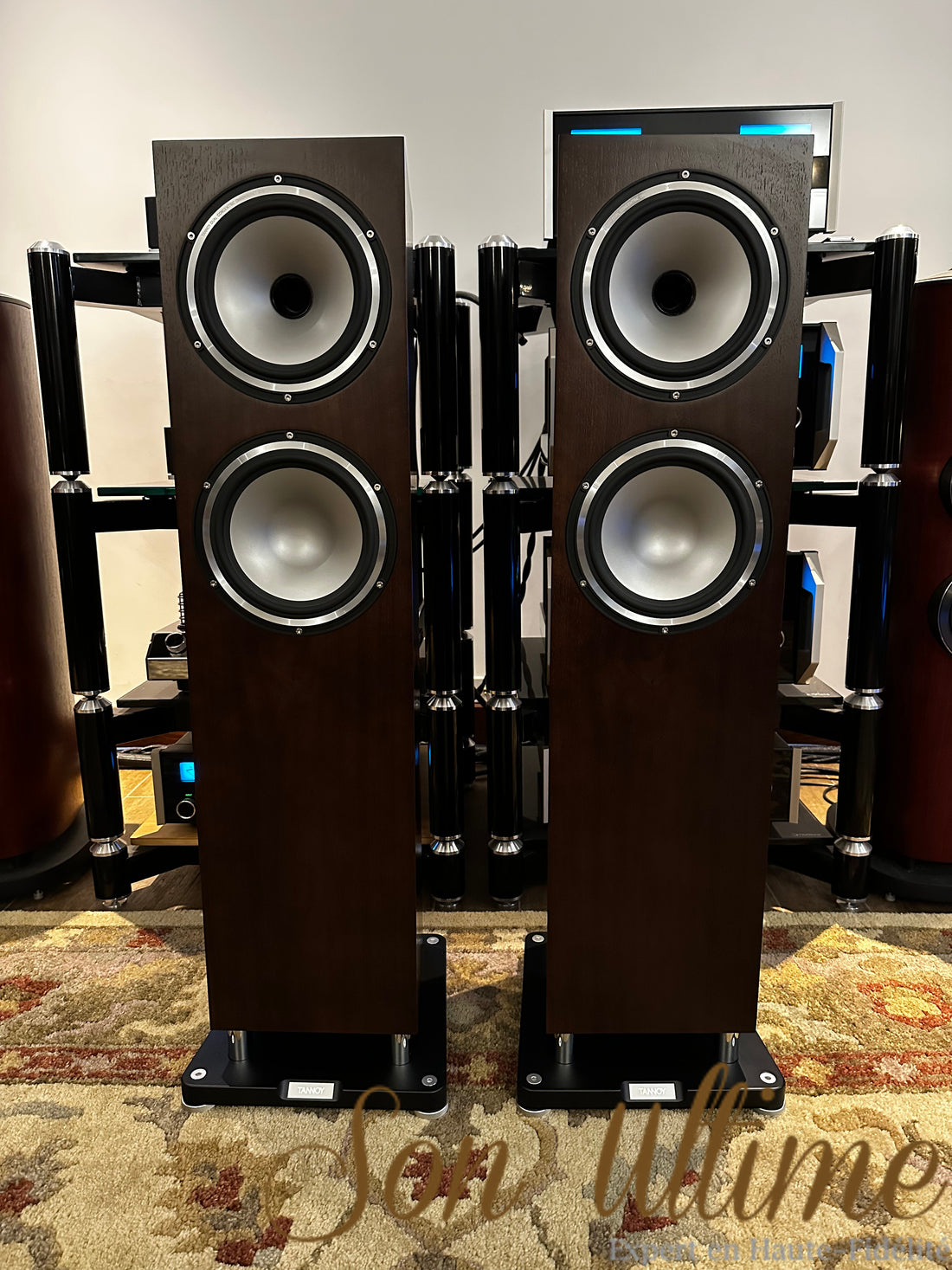 Revolution XT8F Noyer (Occasion Vendue)