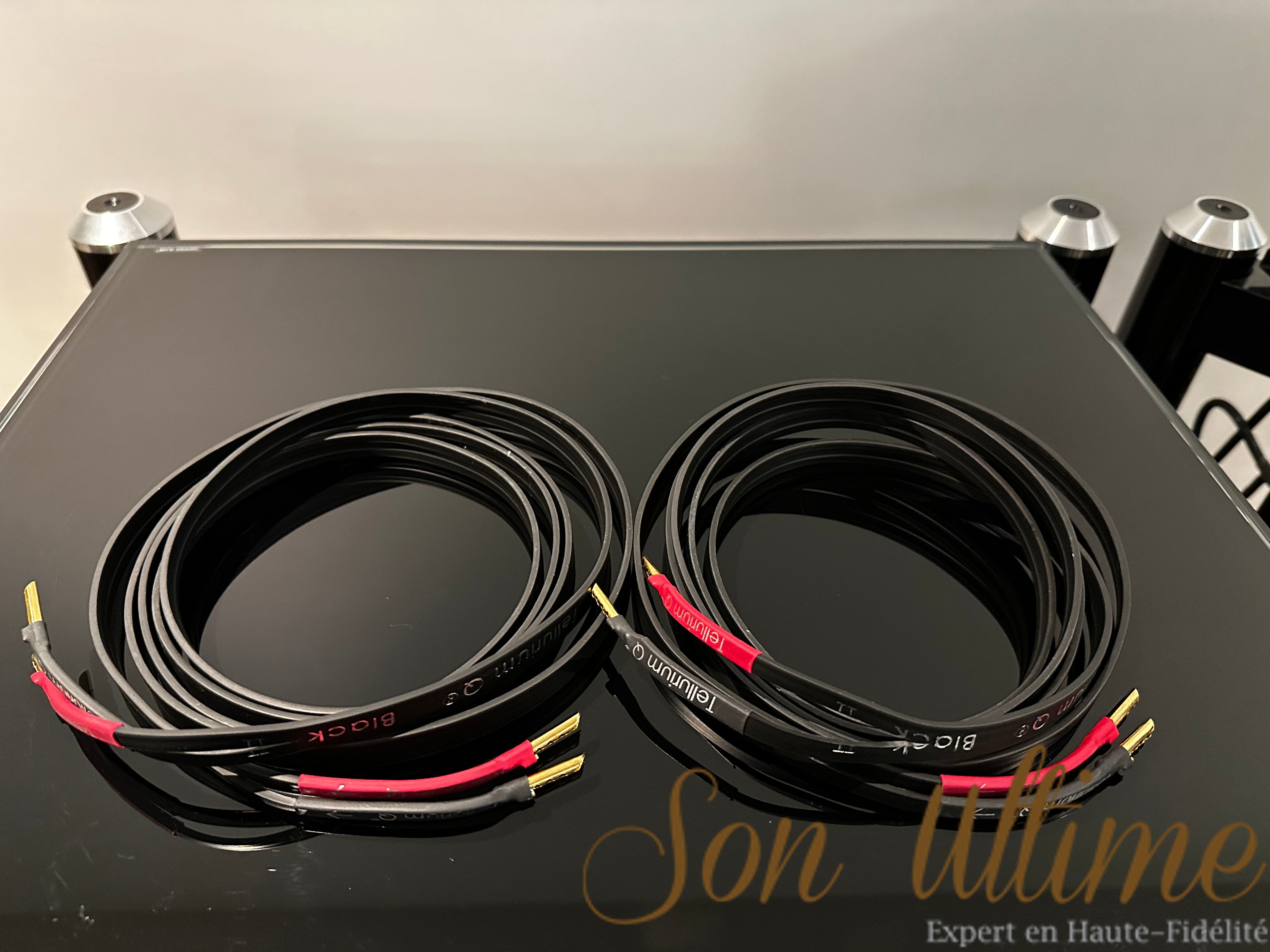 Black II Speaker Banana 2.5M (Used Sold)