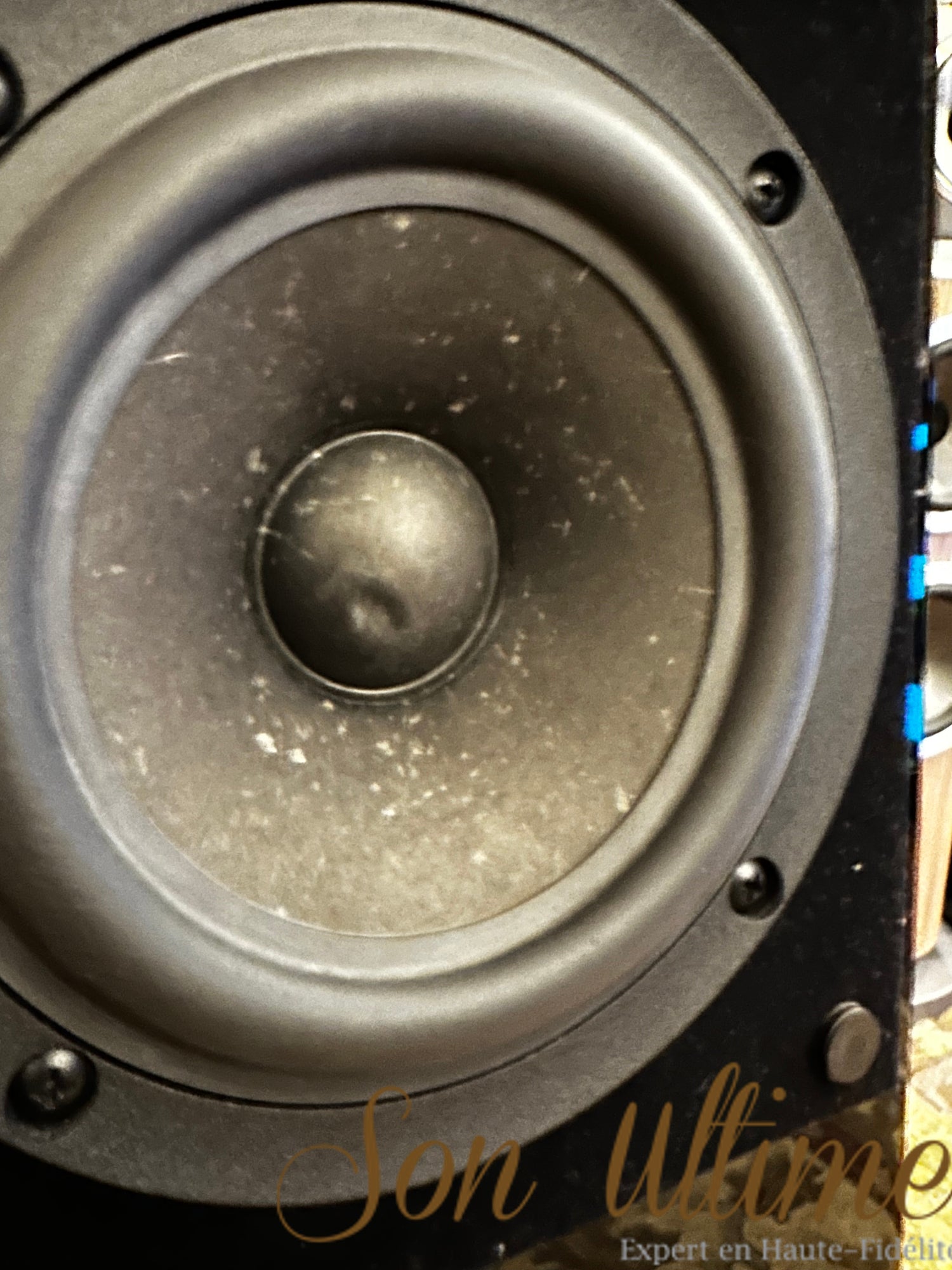 Finn Black (Used Sold)