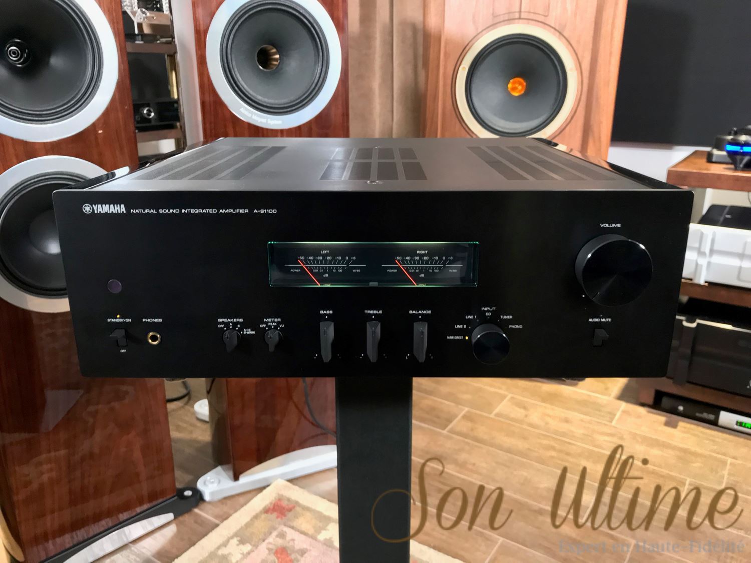 A-S1100 (Used Sold)