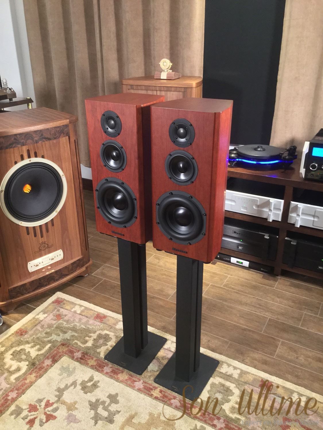 Mini T Boston Cherry (Used Sold)