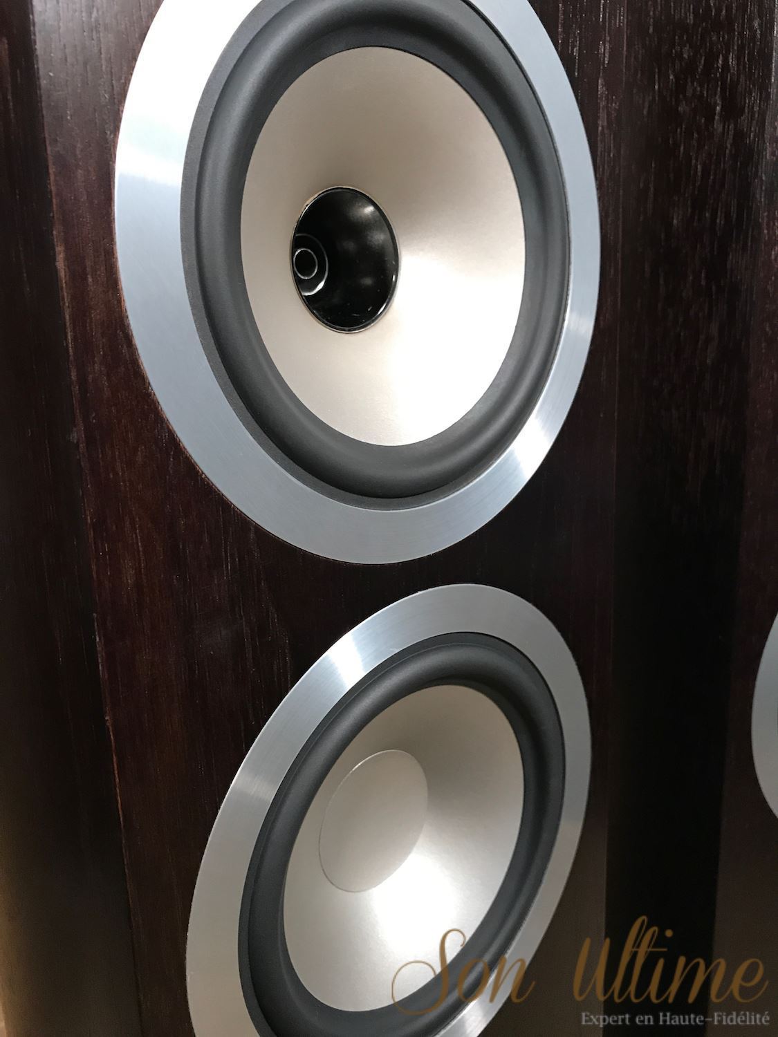 Revolution Signature DC6T Walnut (Occasion Vendue)