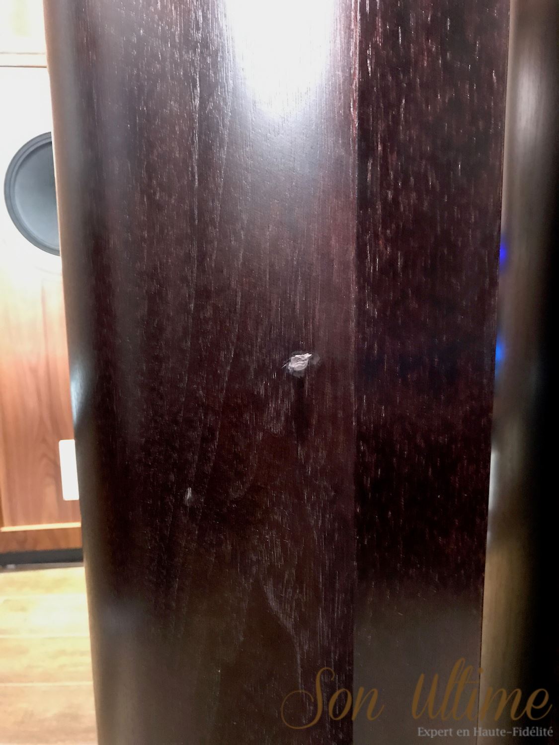 Revolution Signature DC6T Walnut (Used Sold)