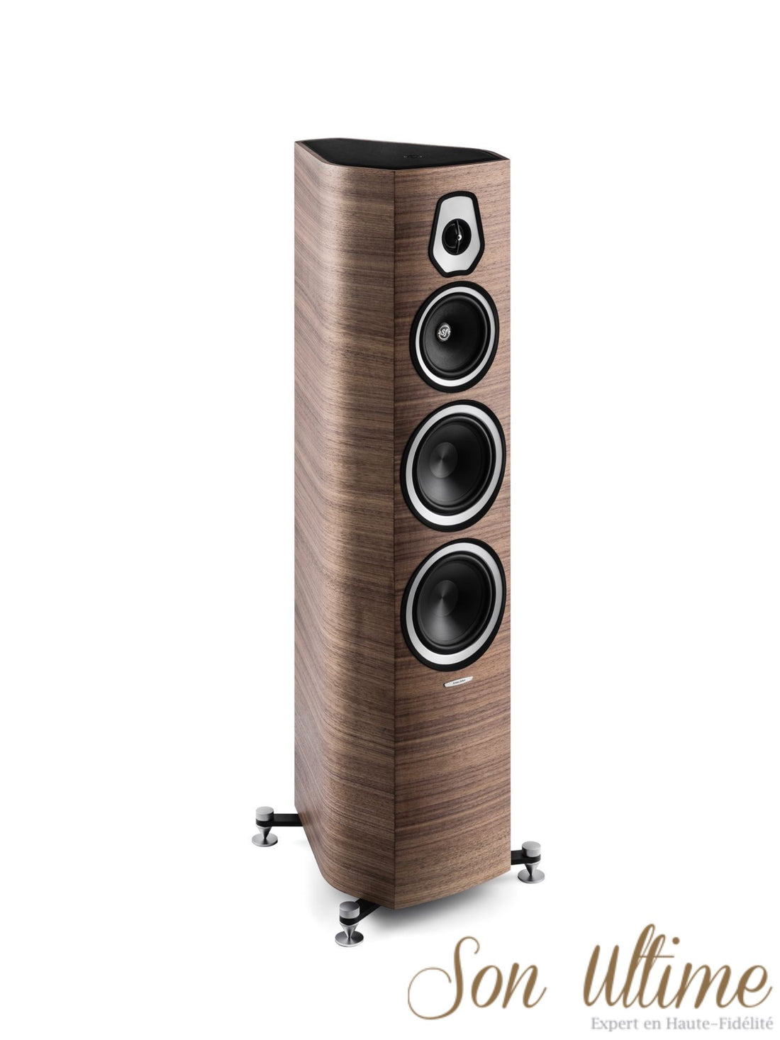 Sonetto V (Archive)