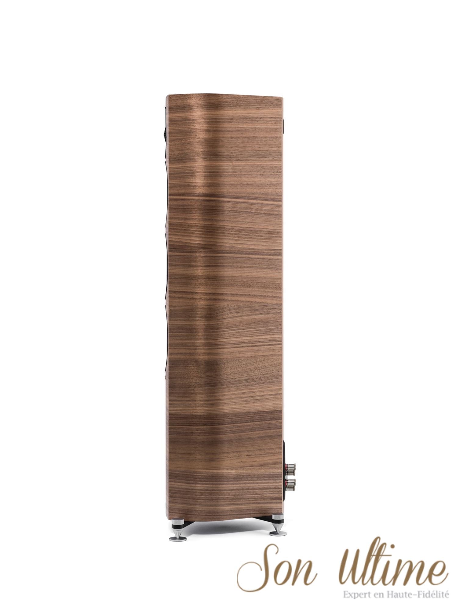 Sonetto III (Archive)