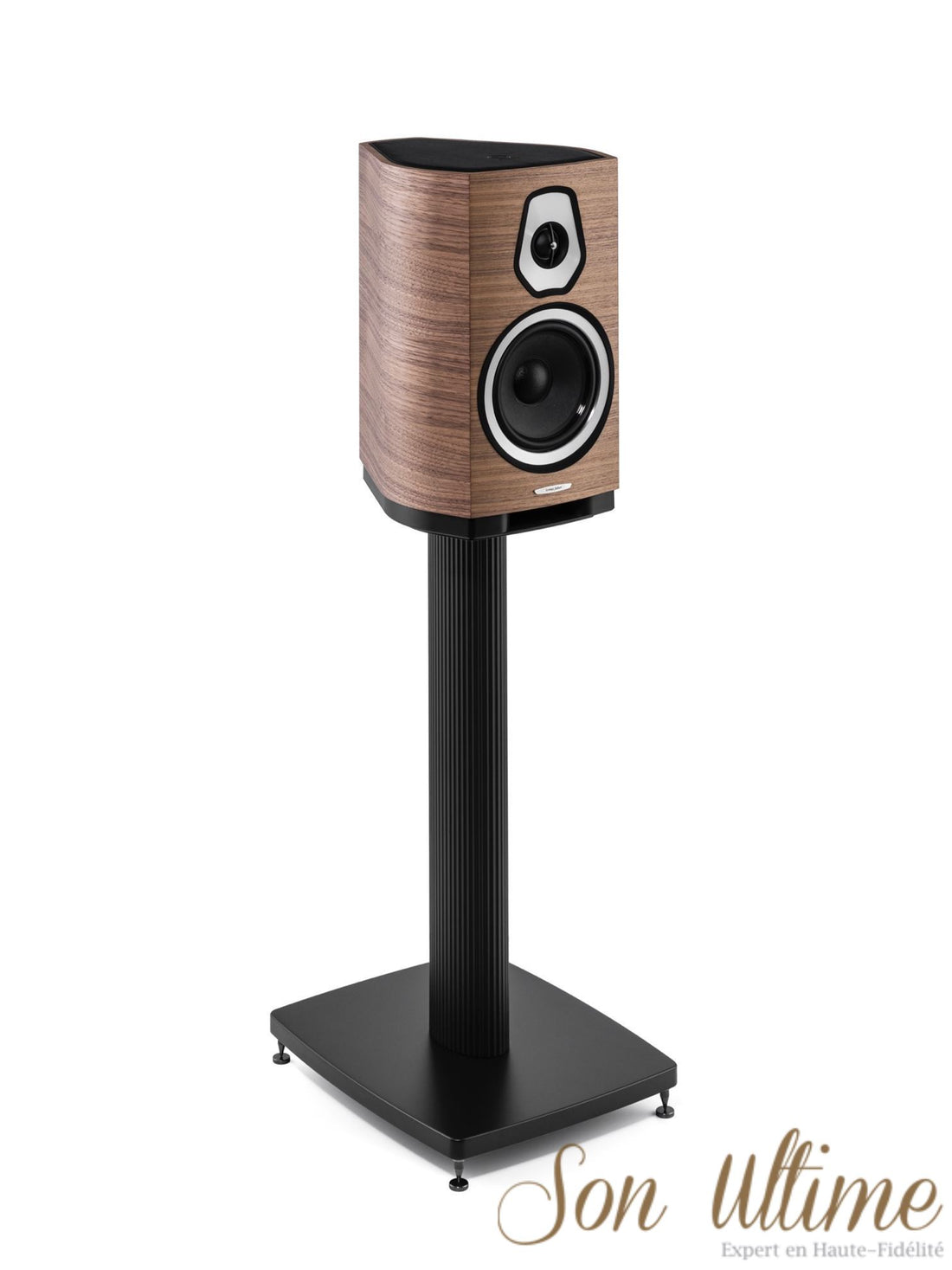 Sonetto II (Archive)