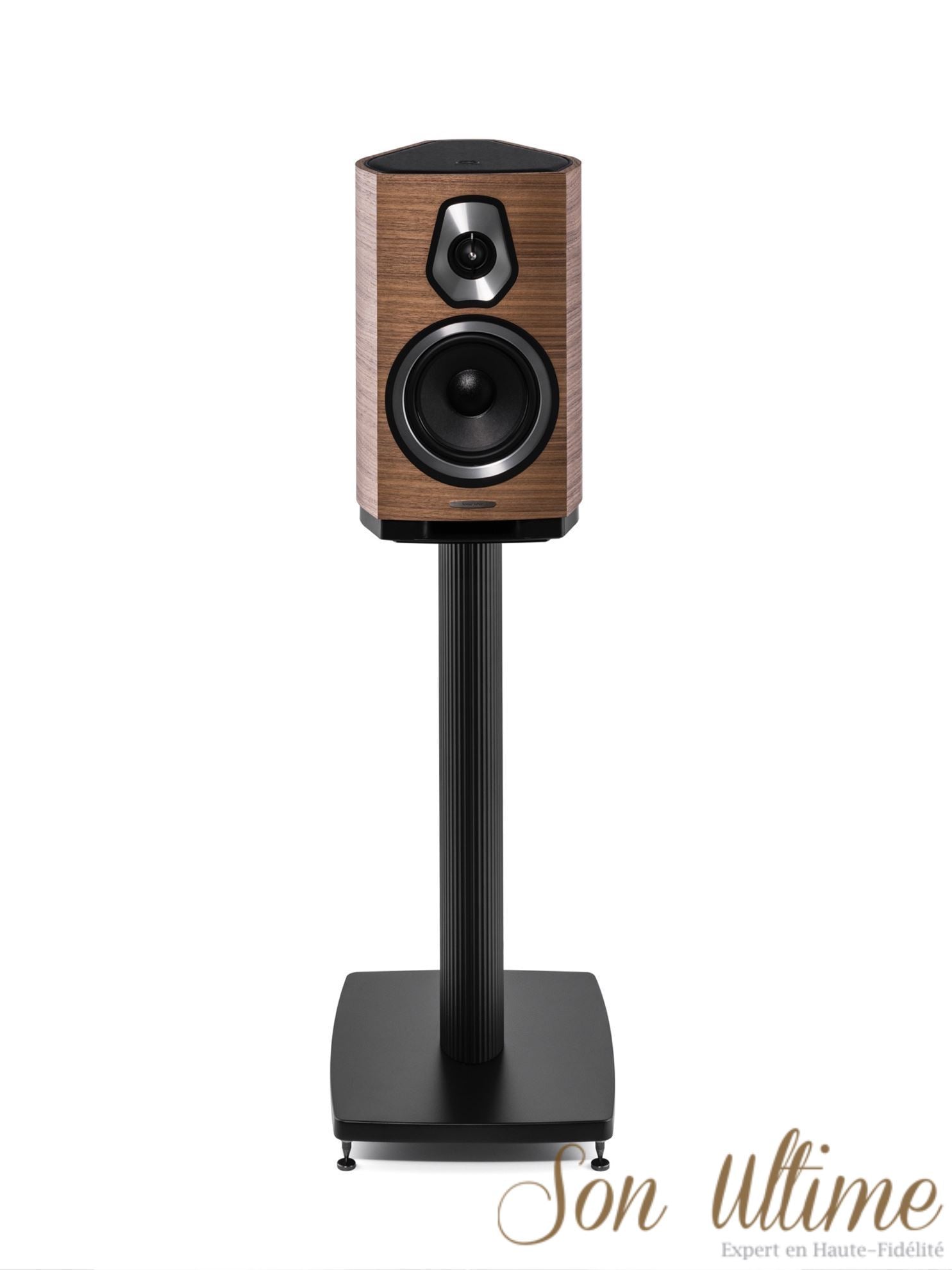 Sonetto II (Archive)