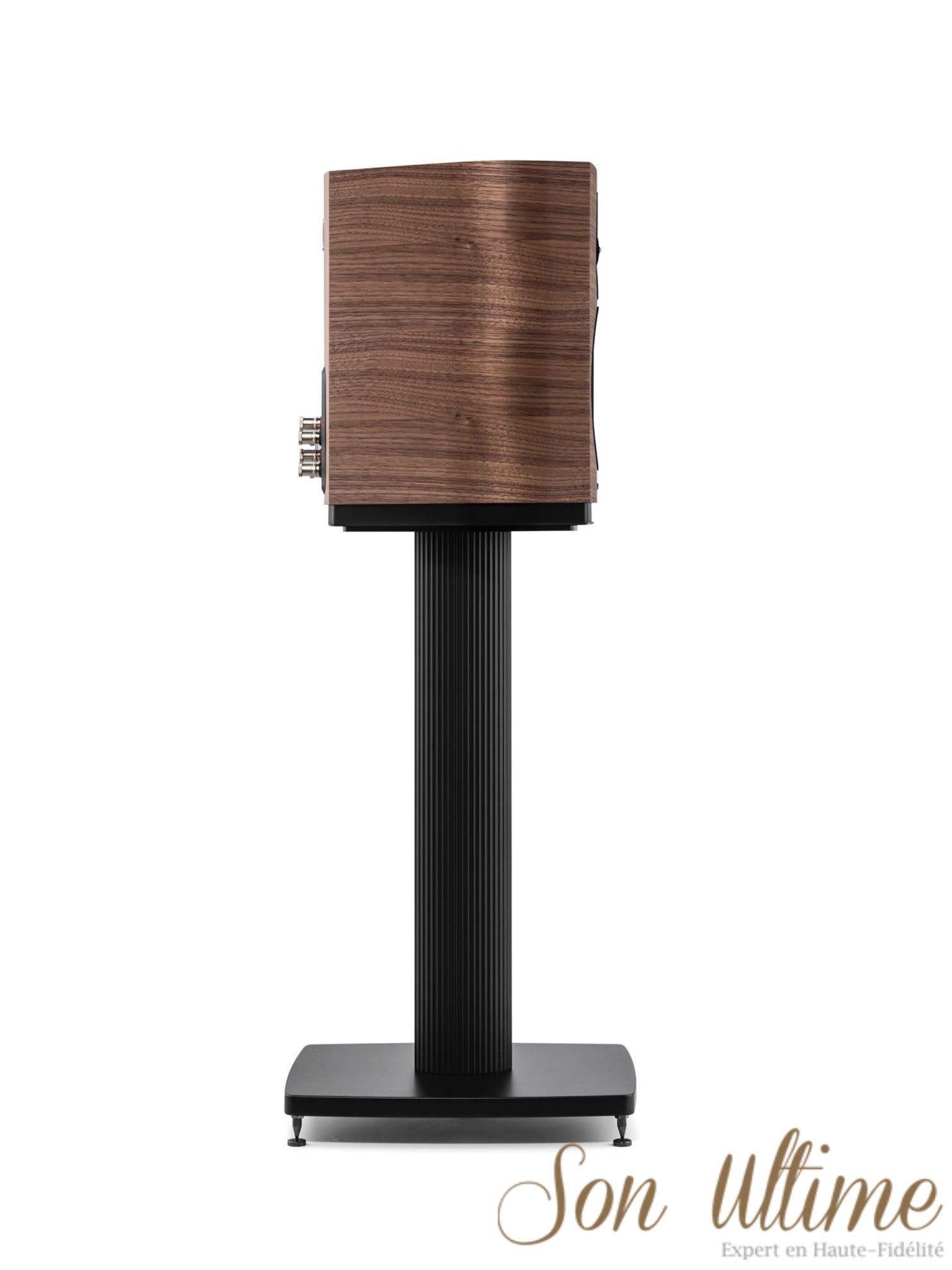 Sonetto II (Archive)