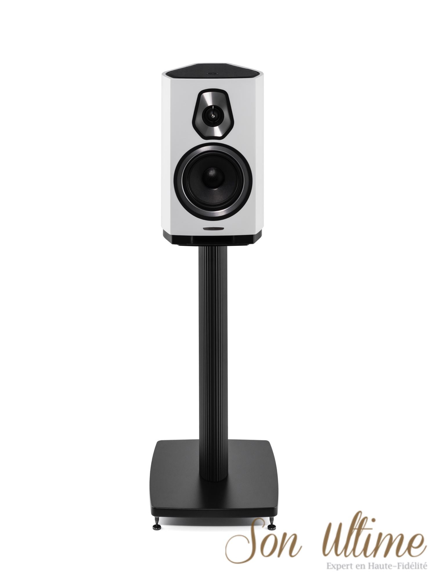 Sonetto II (Archive)