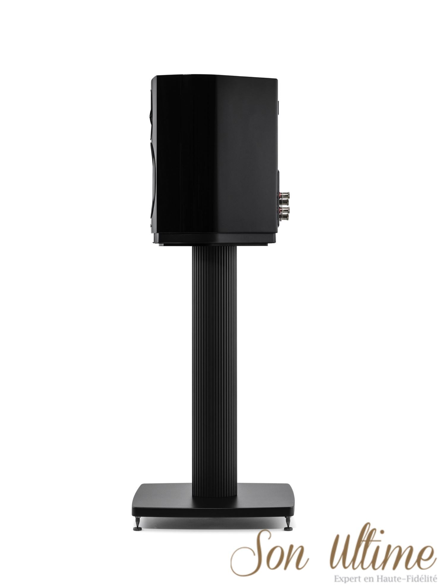 Sonetto II (Archive)