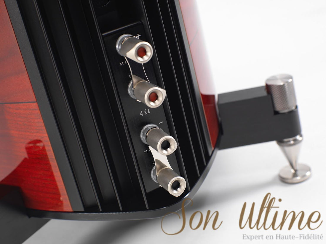 Amati Tradition (Archive)