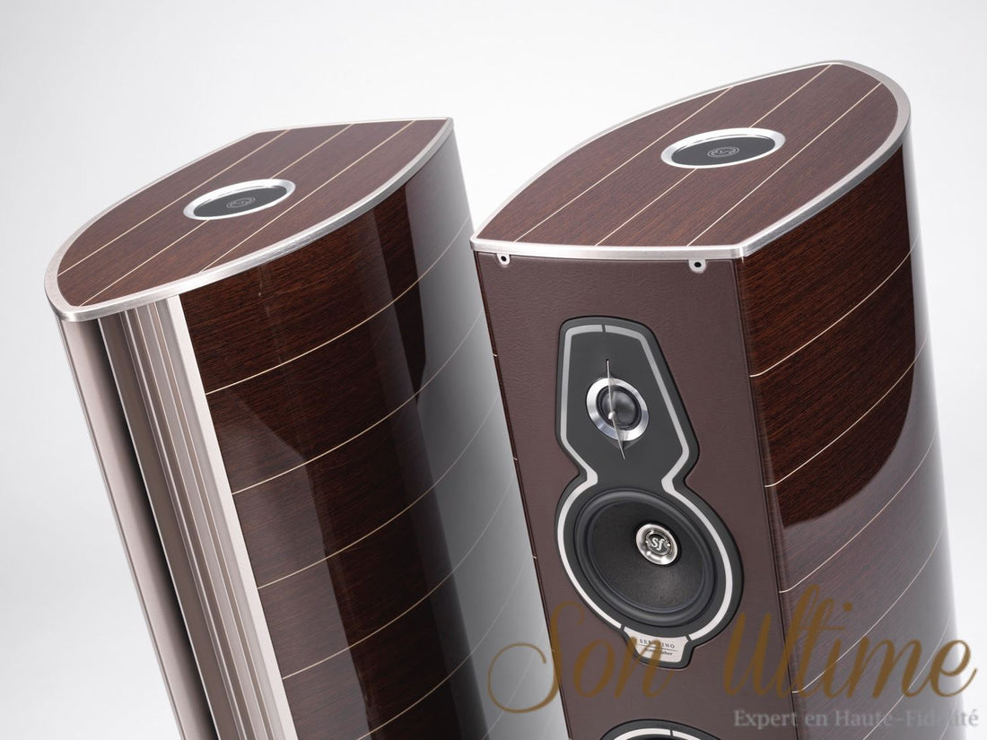 Serafino Tradition (Archive)