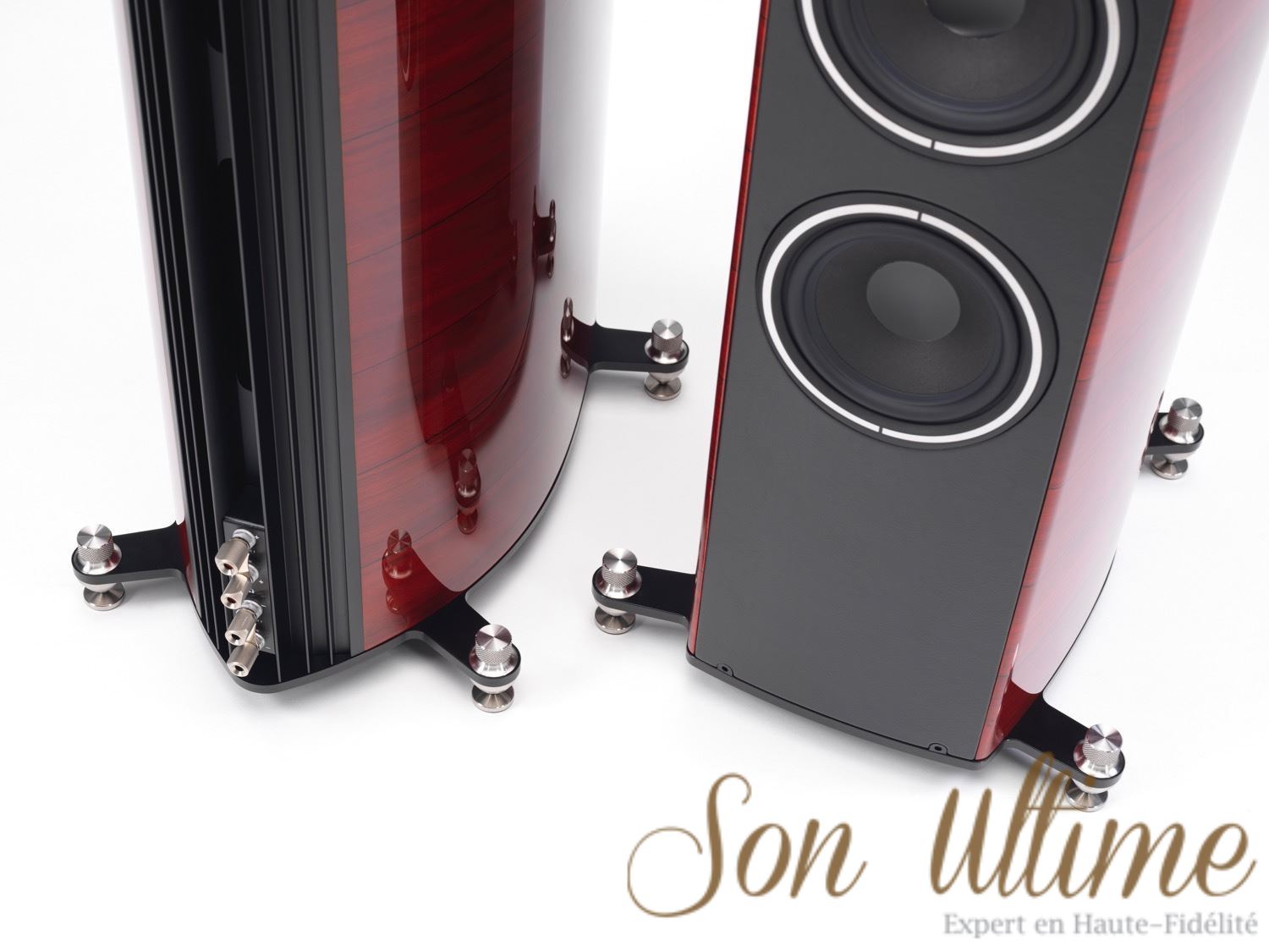 Serafino Tradition (Archive)