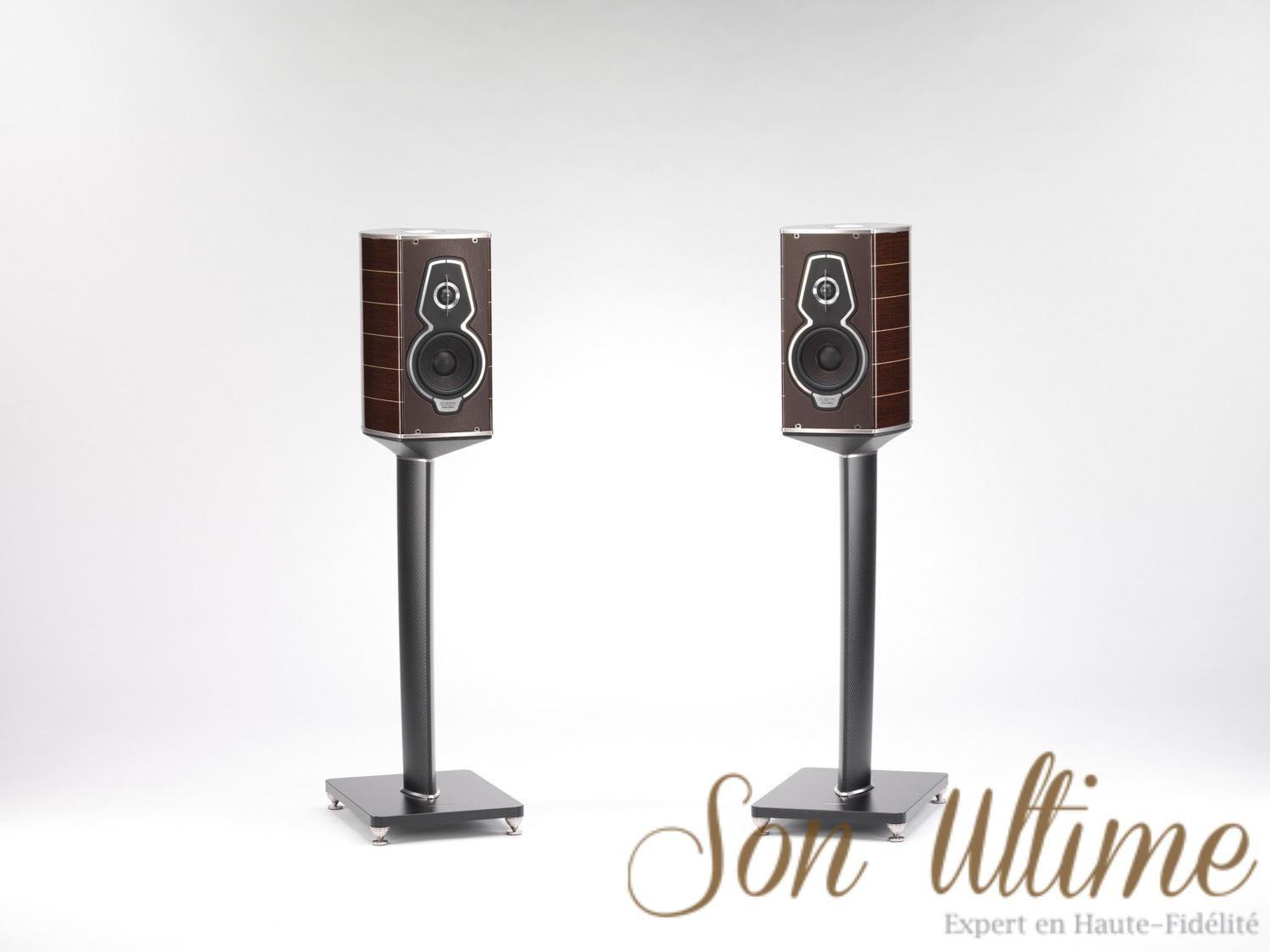 Guarneri Tradition (Archive)