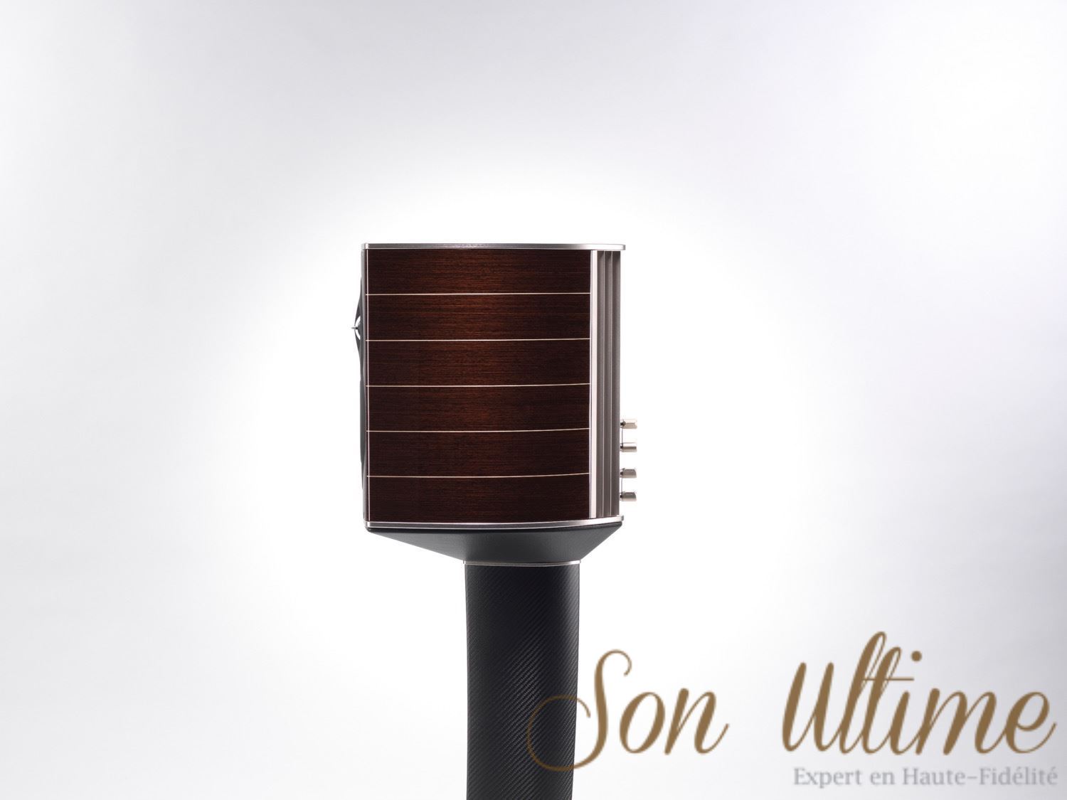 Guarneri Tradition (Archive)