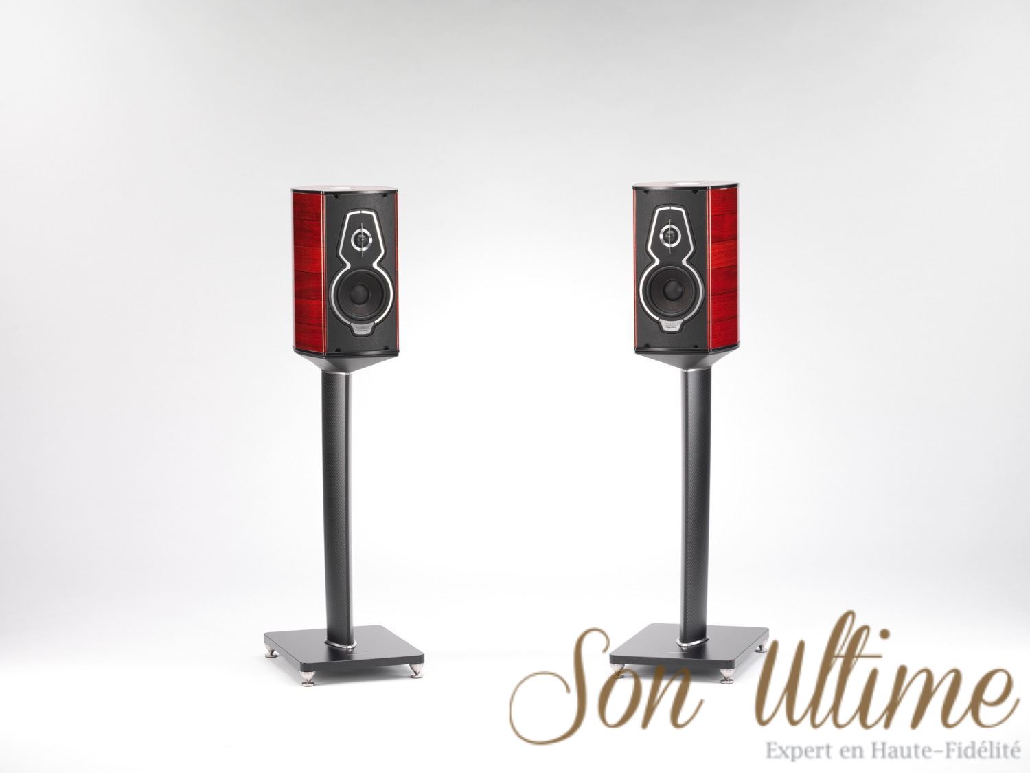 Guarneri Tradition (Archive)