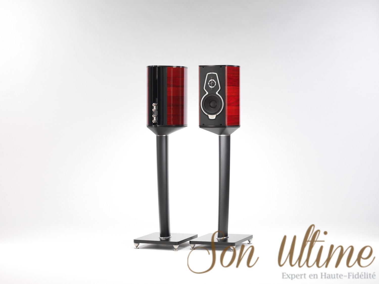 Guarneri Tradition (Archive)