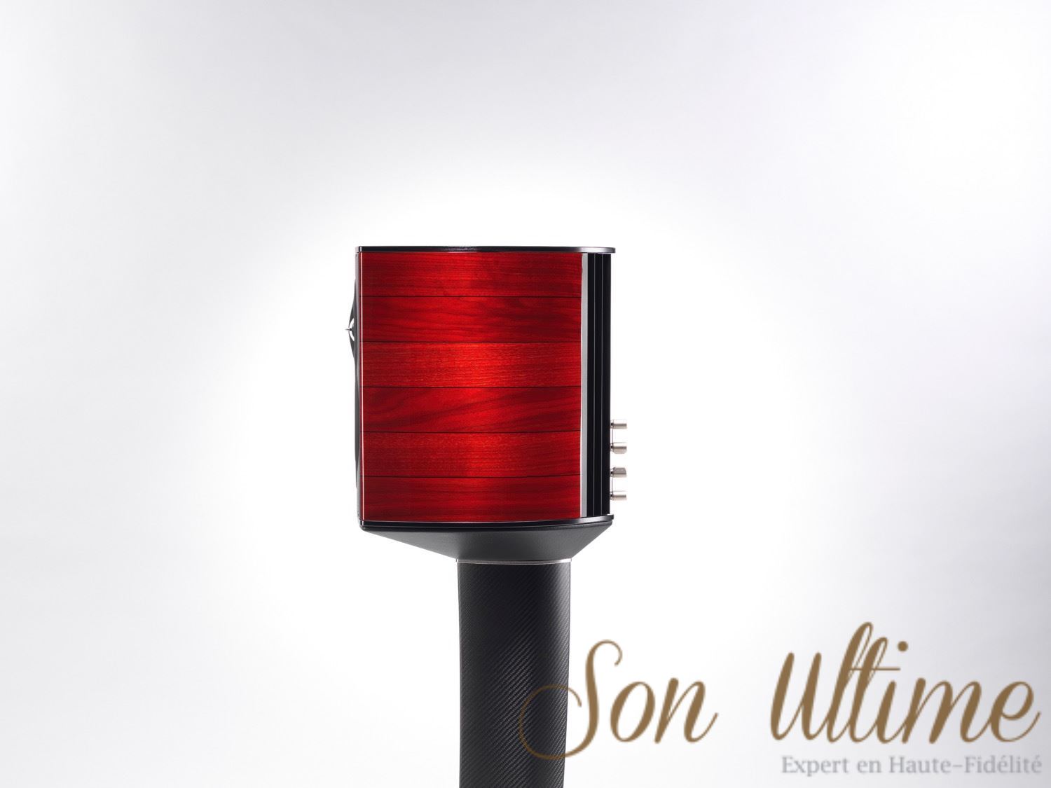 Guarneri Tradition (Archive)