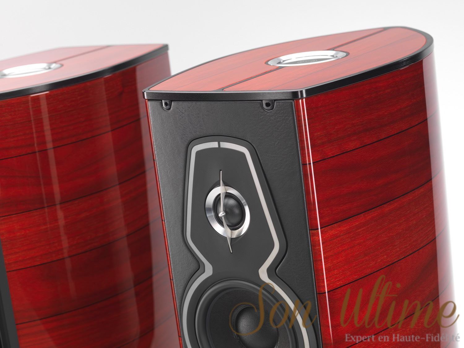 Guarneri Tradition (Archive)