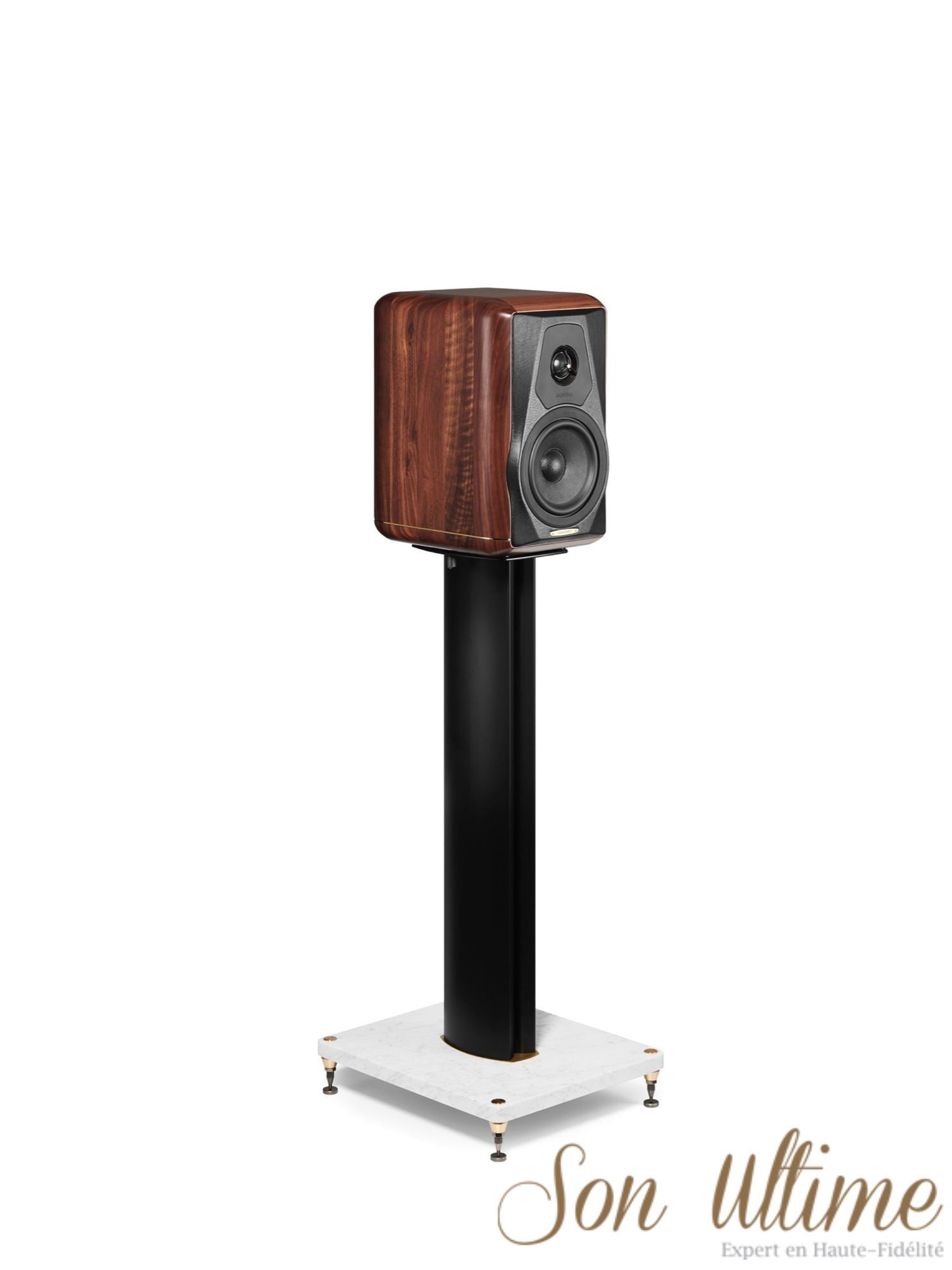 Minima Amator II (Archive)