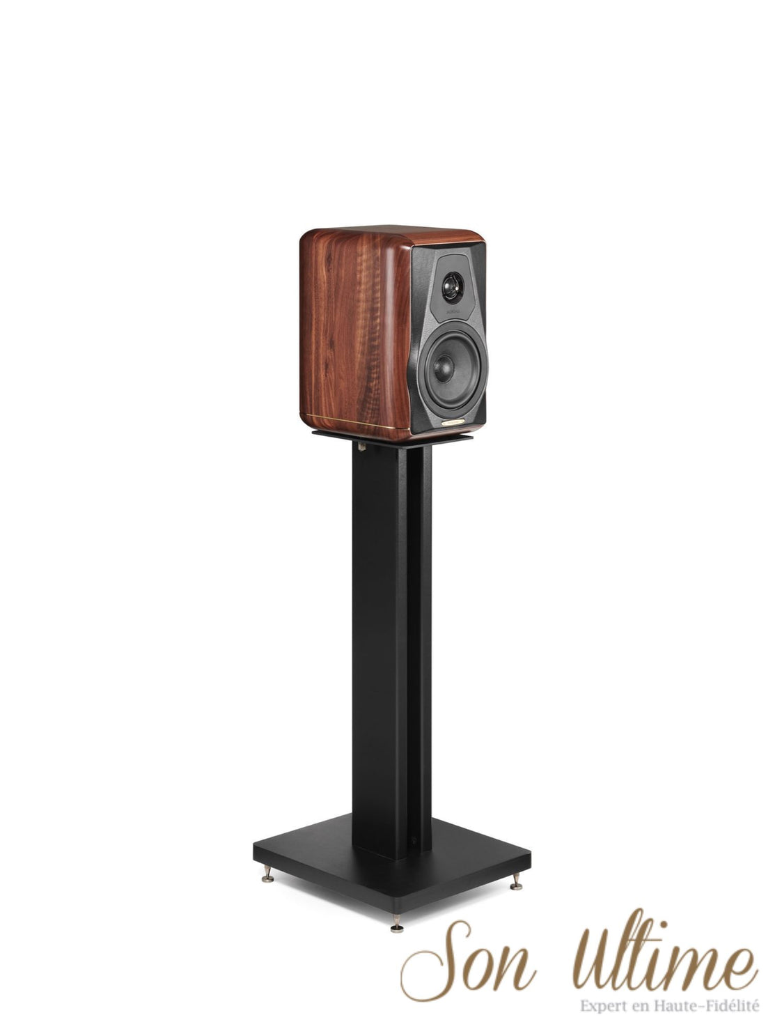 Minima Amator II (Archive)