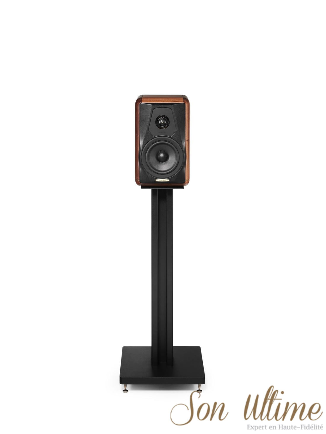 Minima Amator II (Archive)