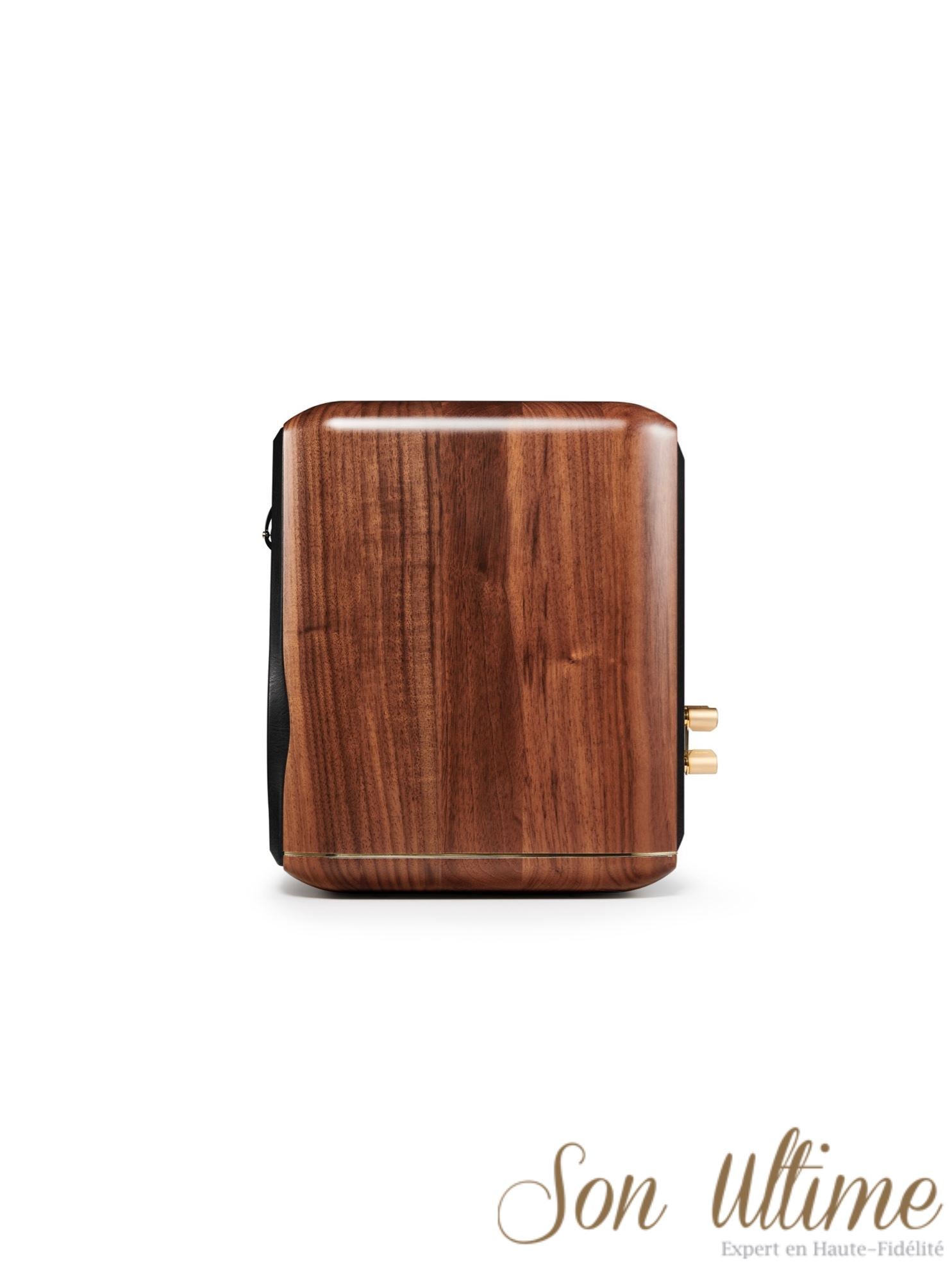 Minima Amator II (Archive)