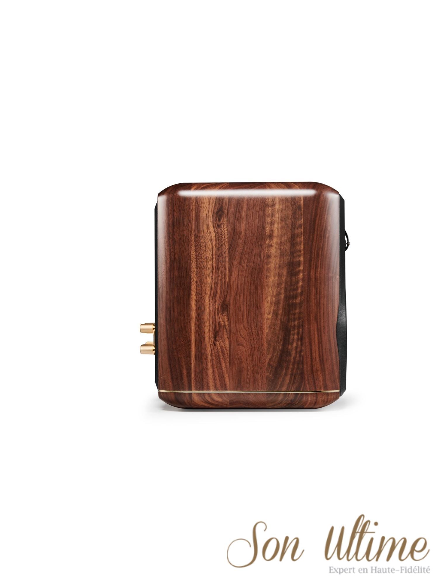 Minima Amator II (Archive)