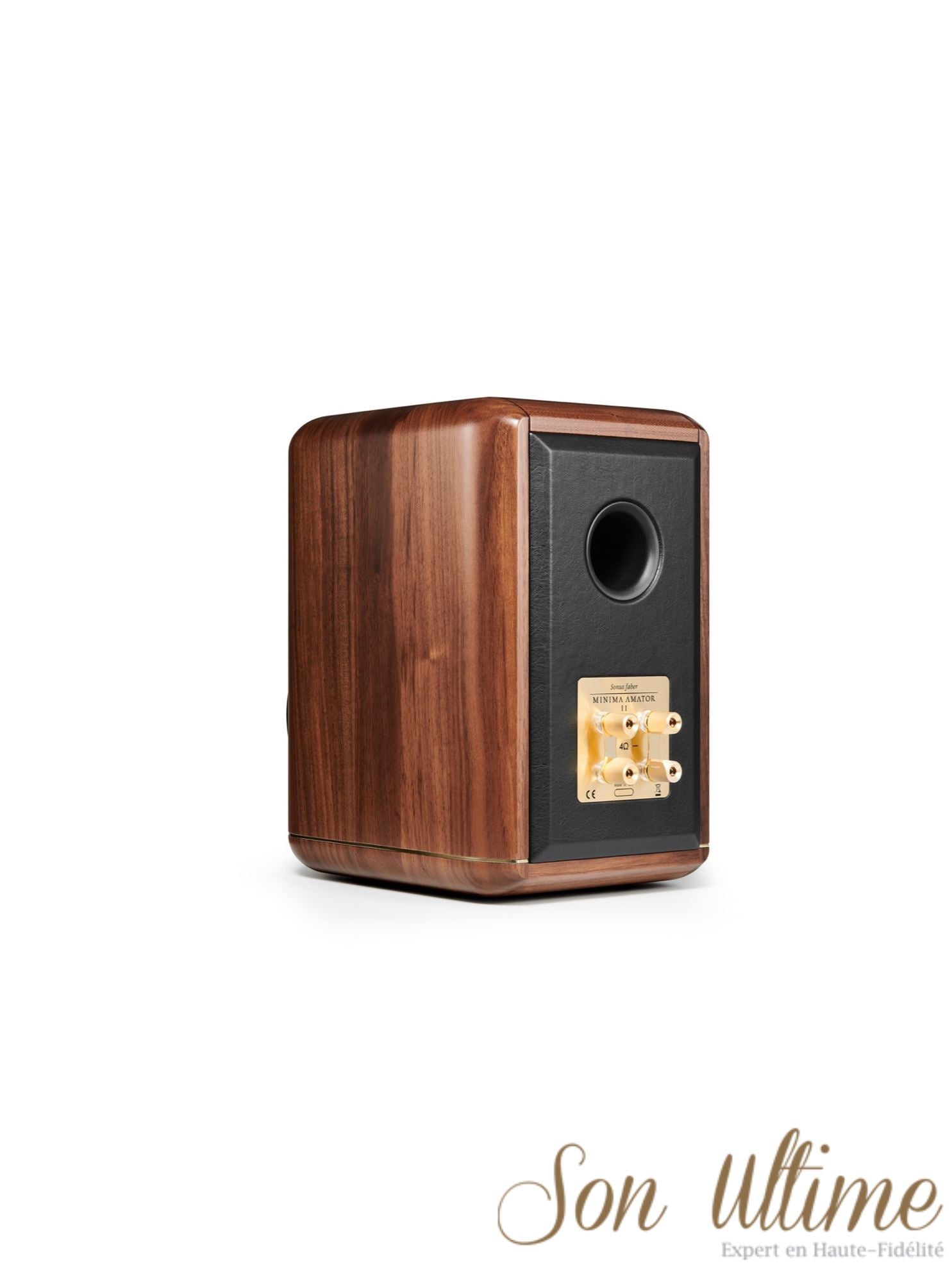 Minima Amator II (Archive)