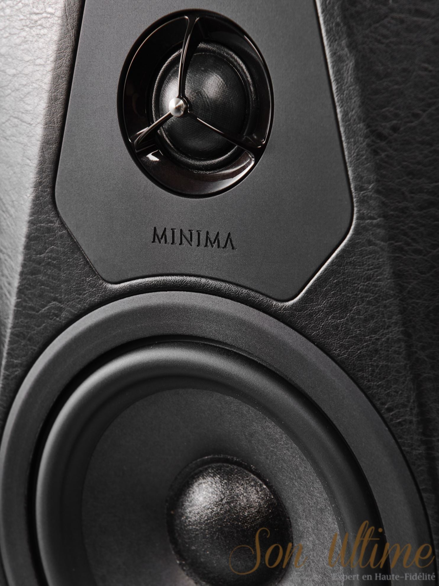 Minima Amator II (Archive)
