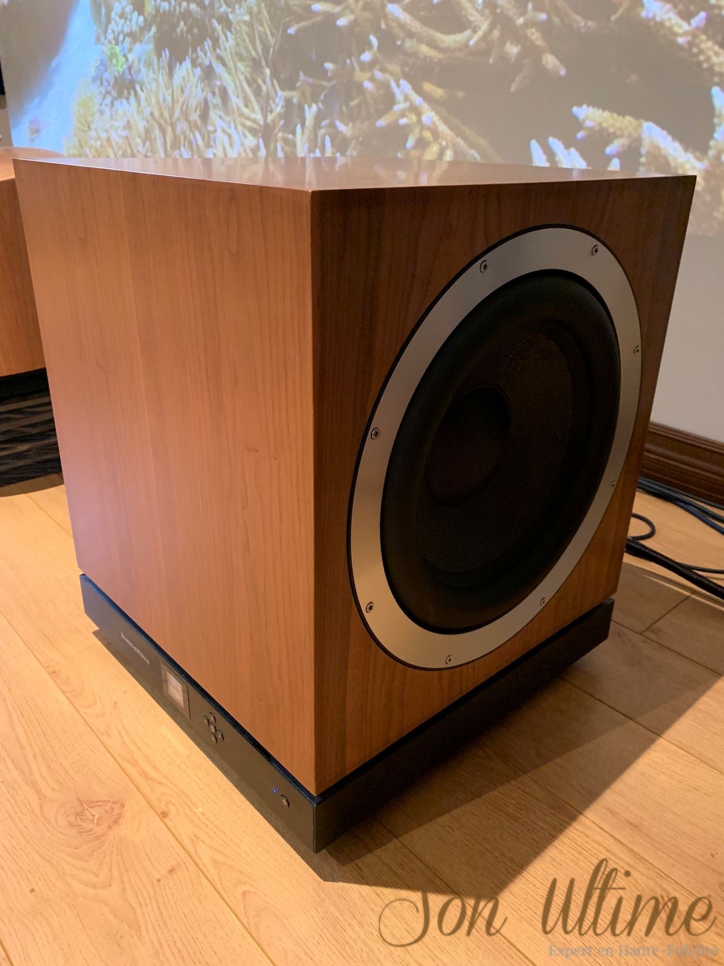 DB1 Cherry (Used Sold)