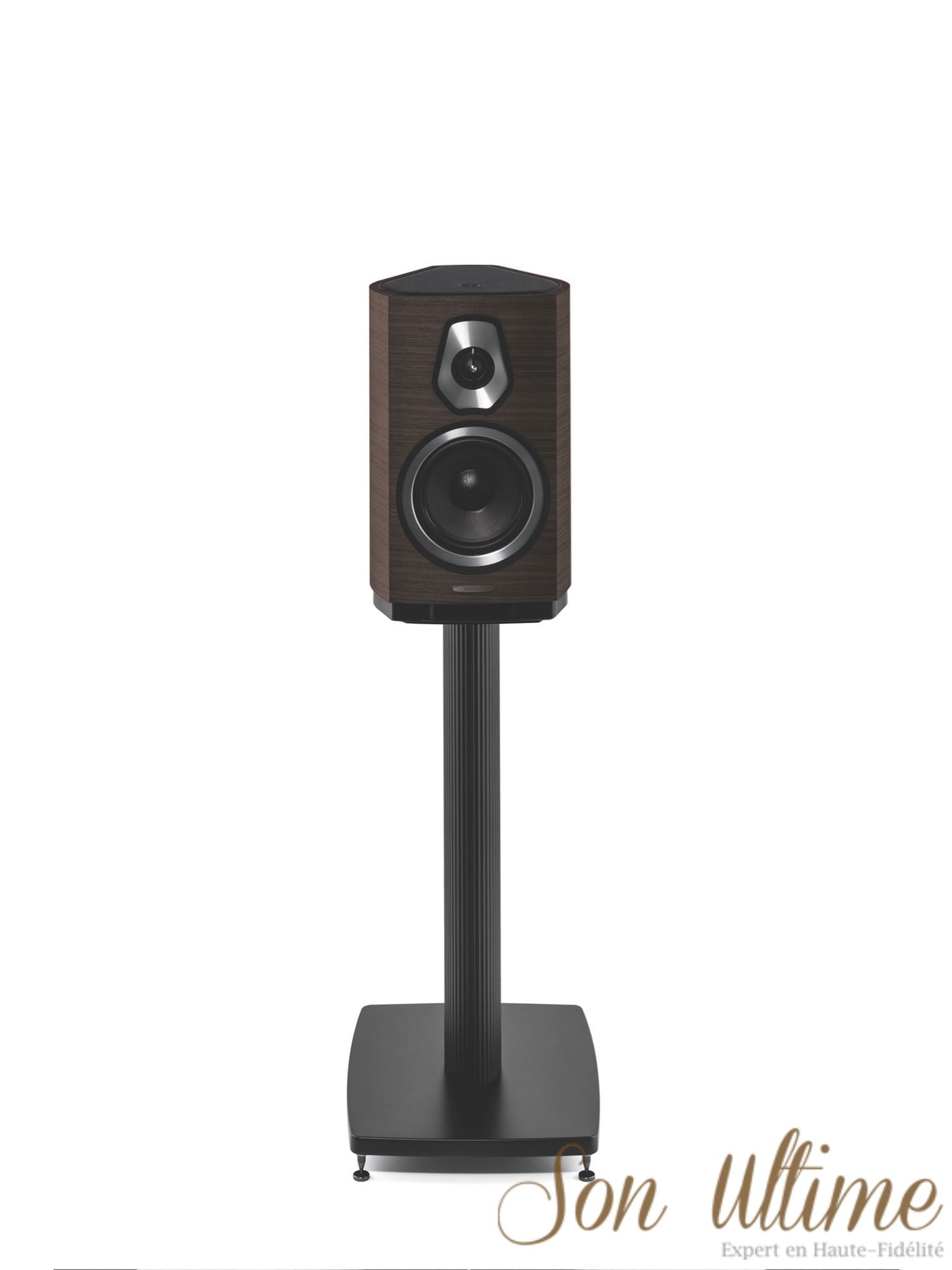 Sonetto II (Archive)