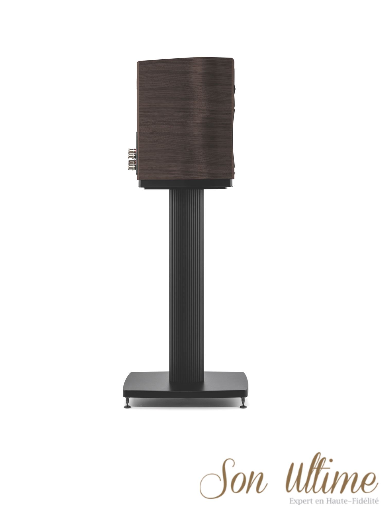 Sonetto II (Archive)
