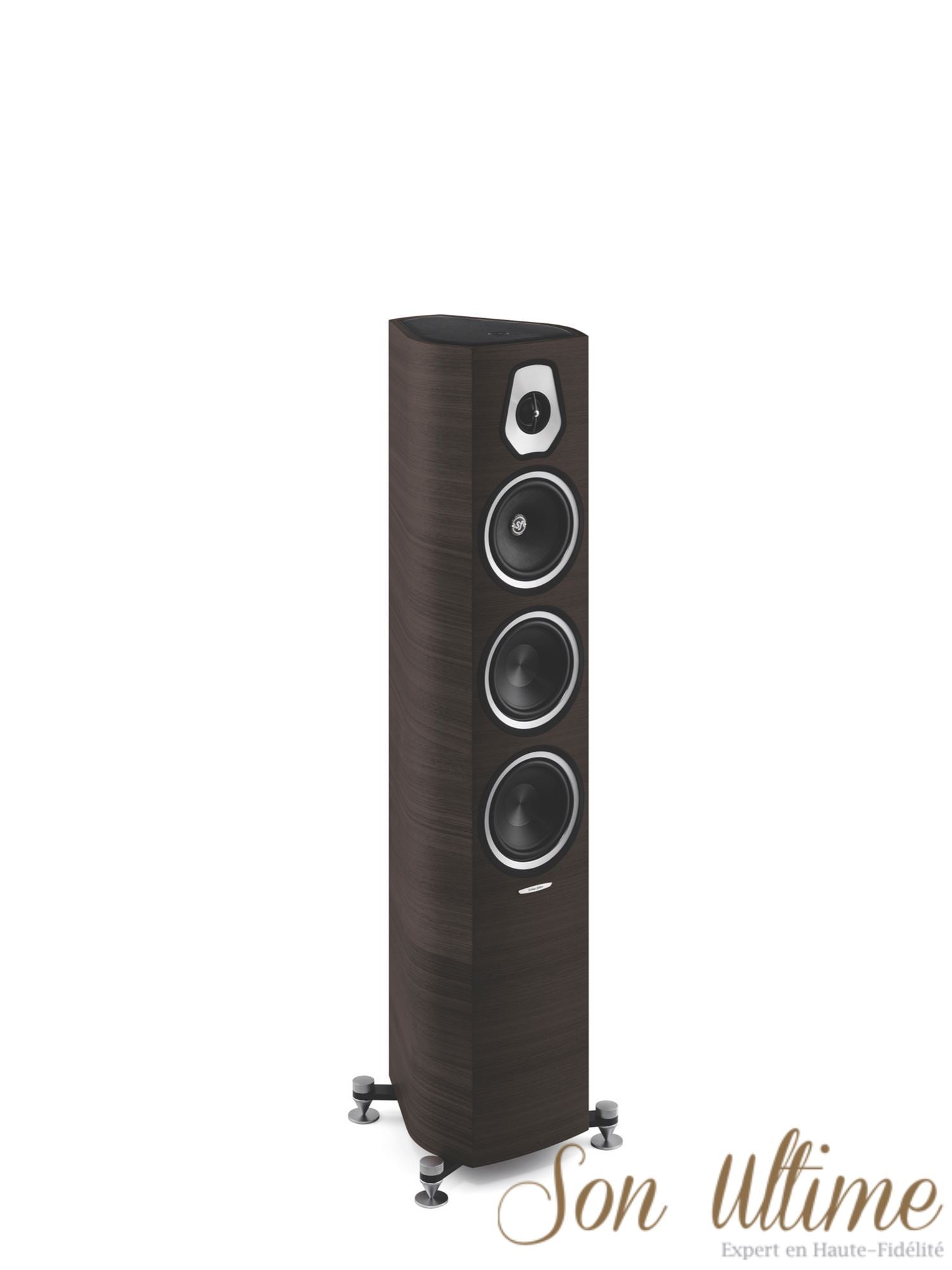 Sonetto III (Archive)