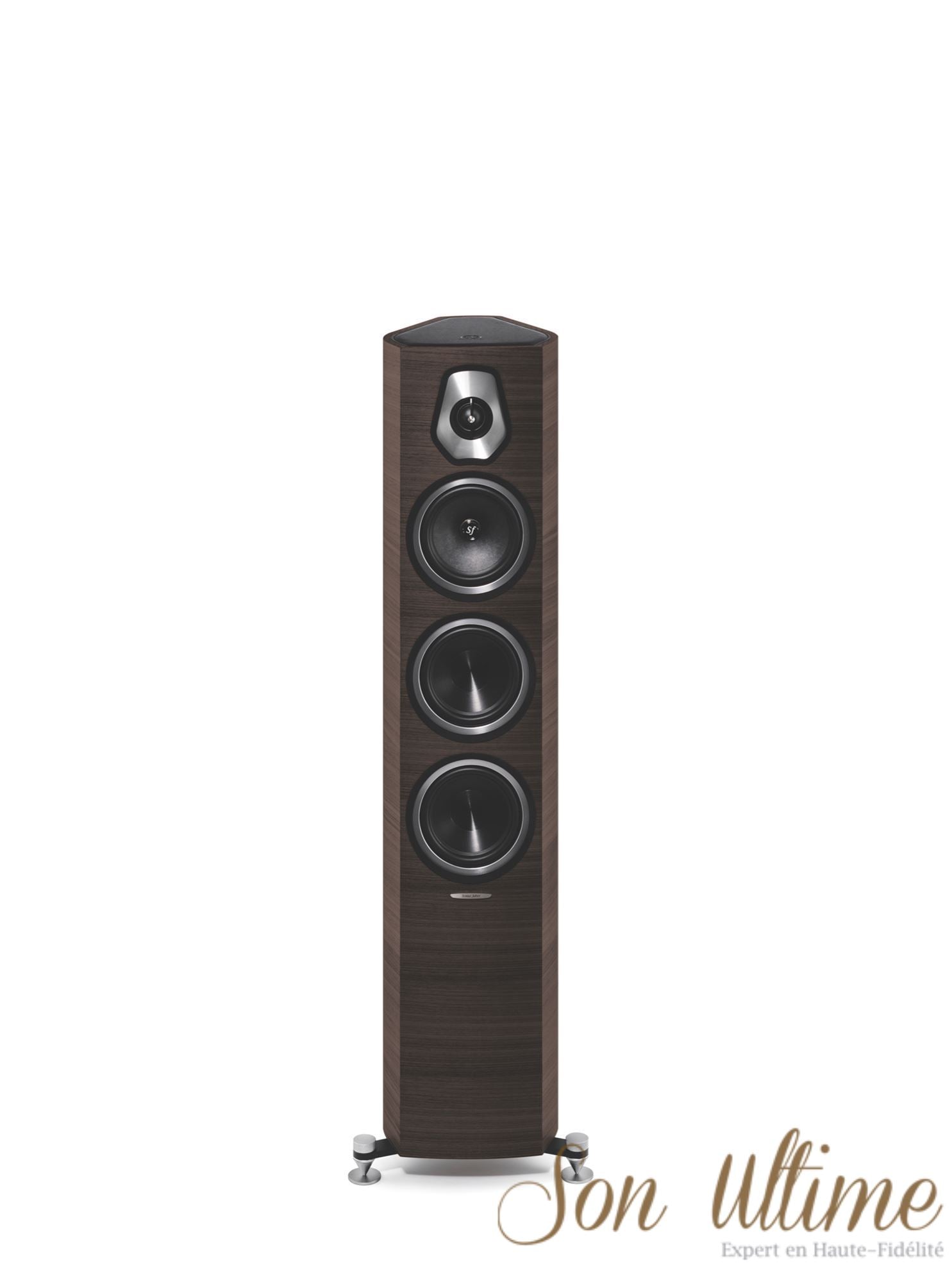 Sonetto III (Archive)