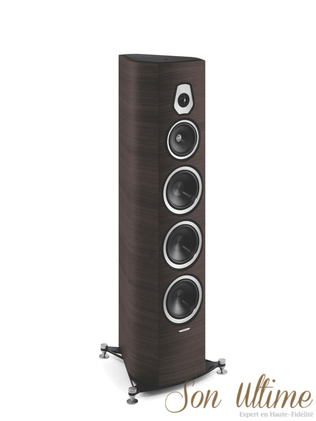 Sonetto VIII (Archive)